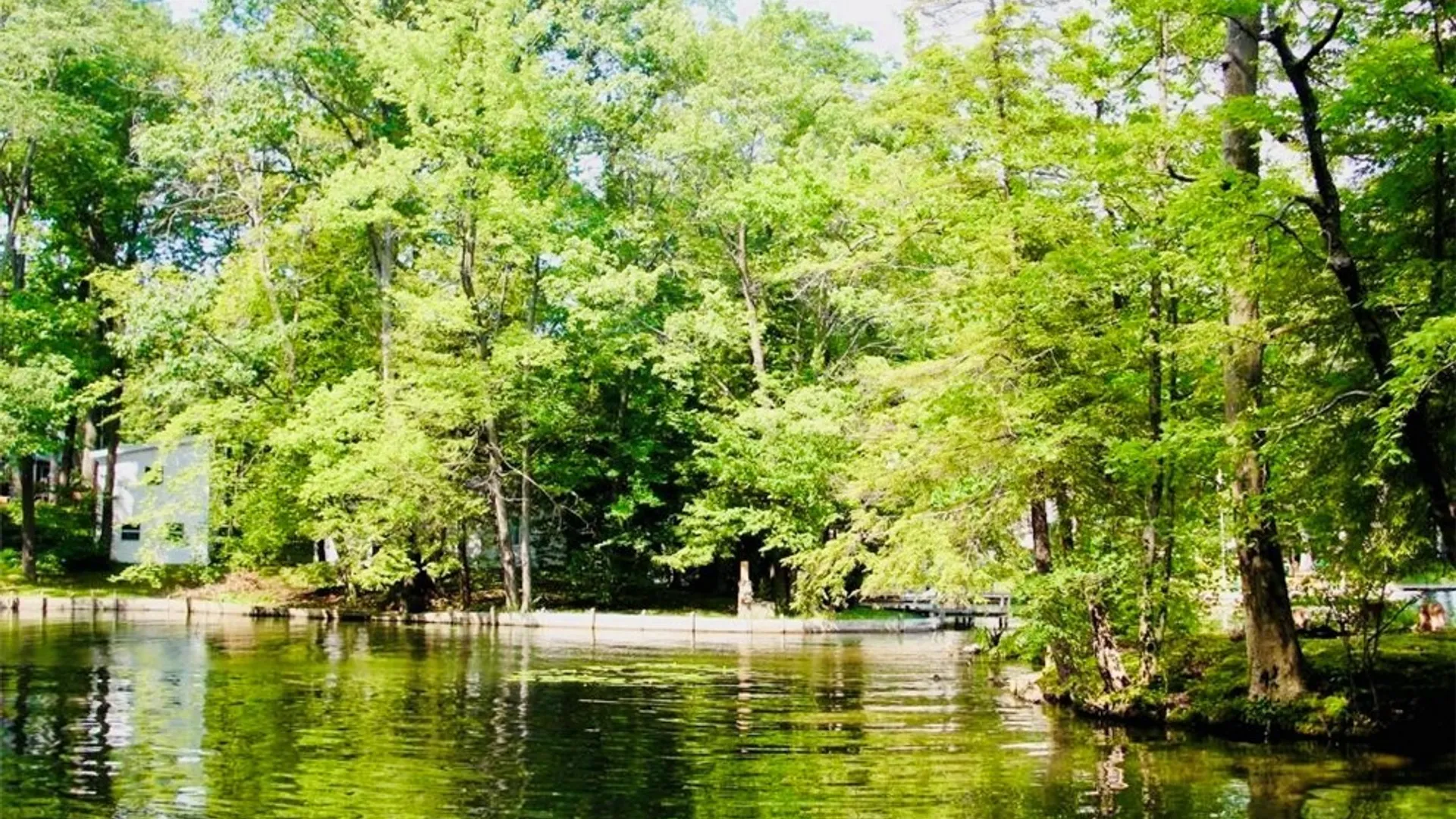 Property at 2404 Shadyside Road, Mina, NY 14736 11