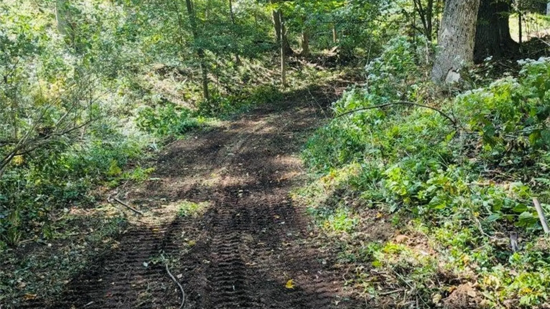 Property at 2404 Shadyside Road, Mina, NY 14736 13