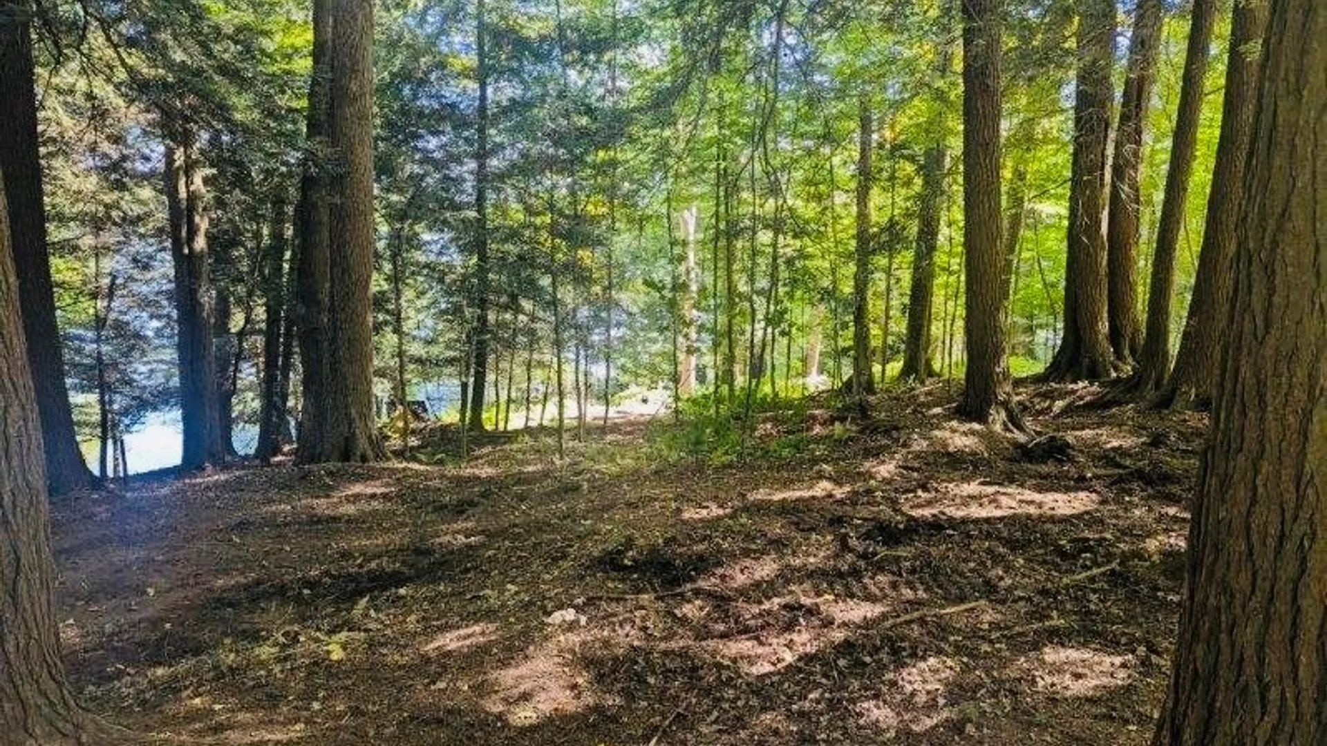 Property at 2404 Shadyside Road, Mina, NY 14736 14