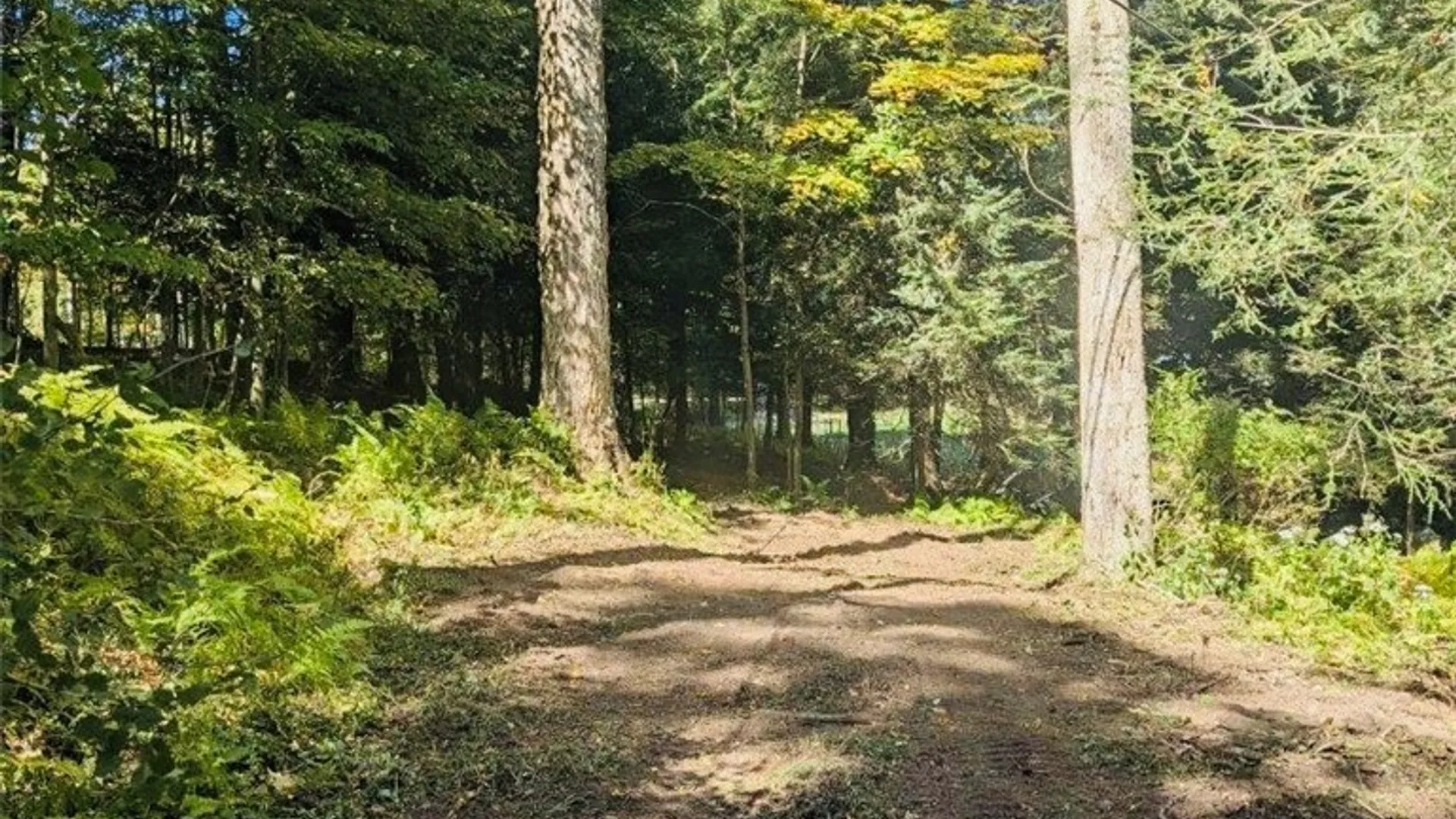 Property at 2404 Shadyside Road, Mina, NY 14736 15