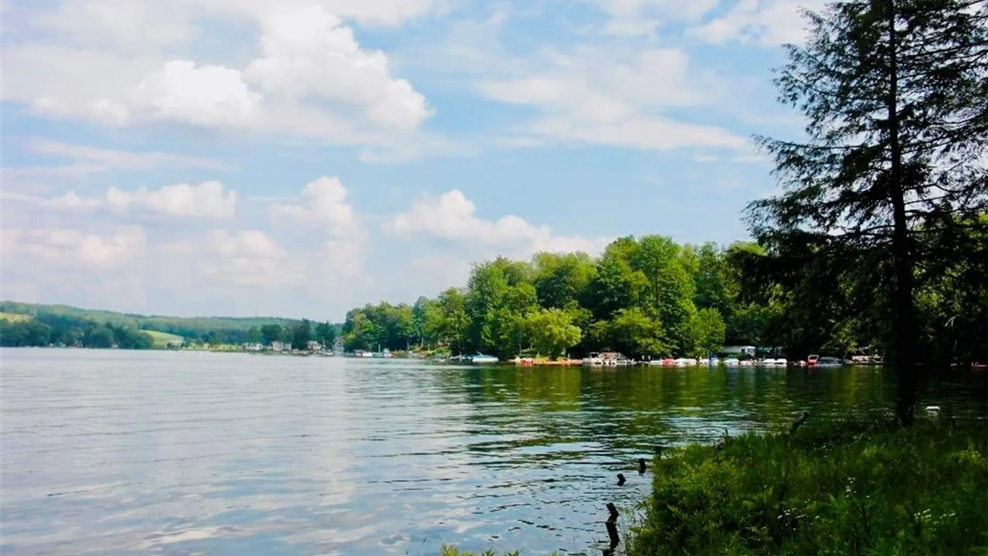 Property at 2404 Shadyside Road, Mina, NY 14736 3