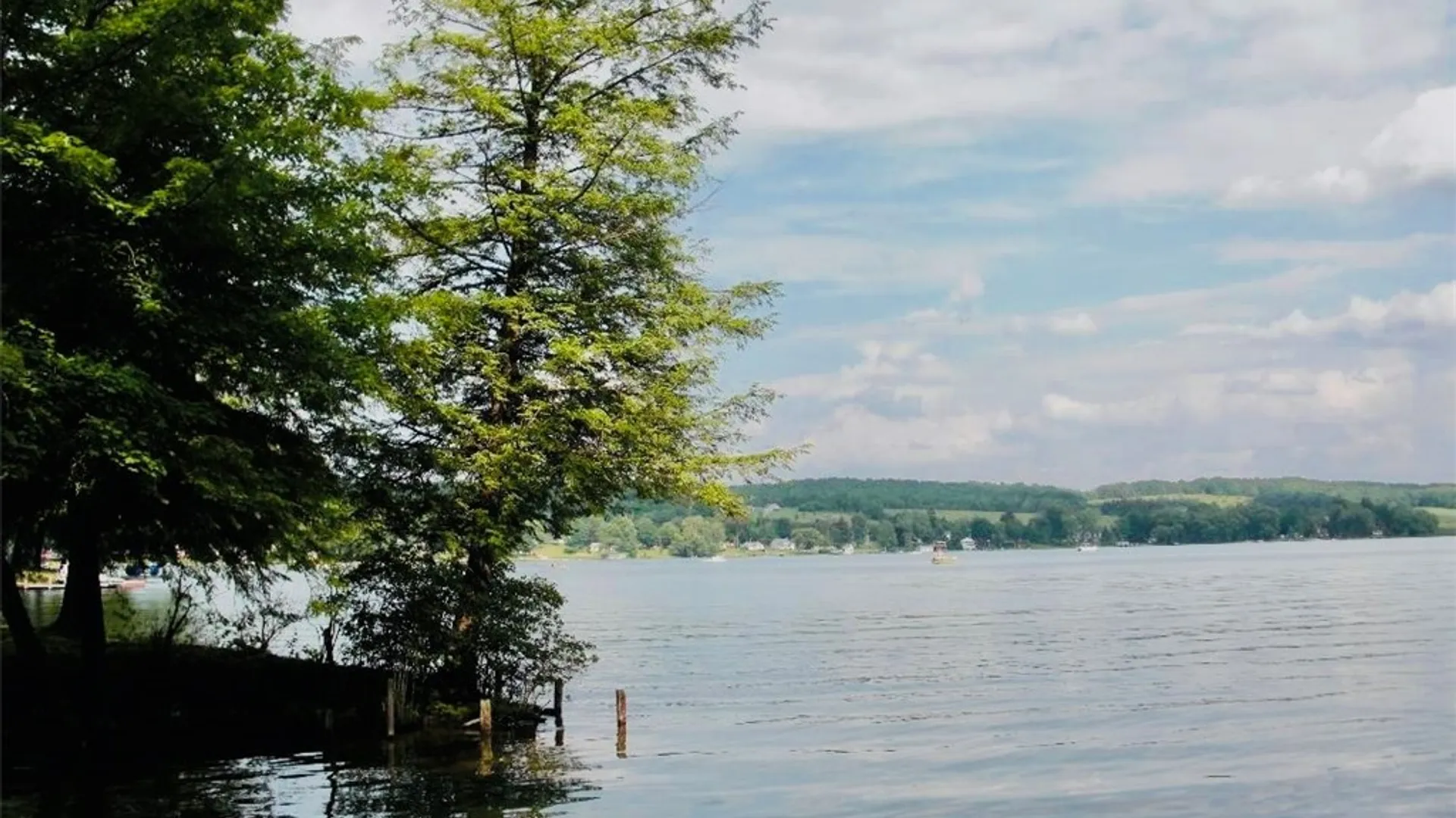 Property at 2404 Shadyside Road, Mina, NY 14736 4