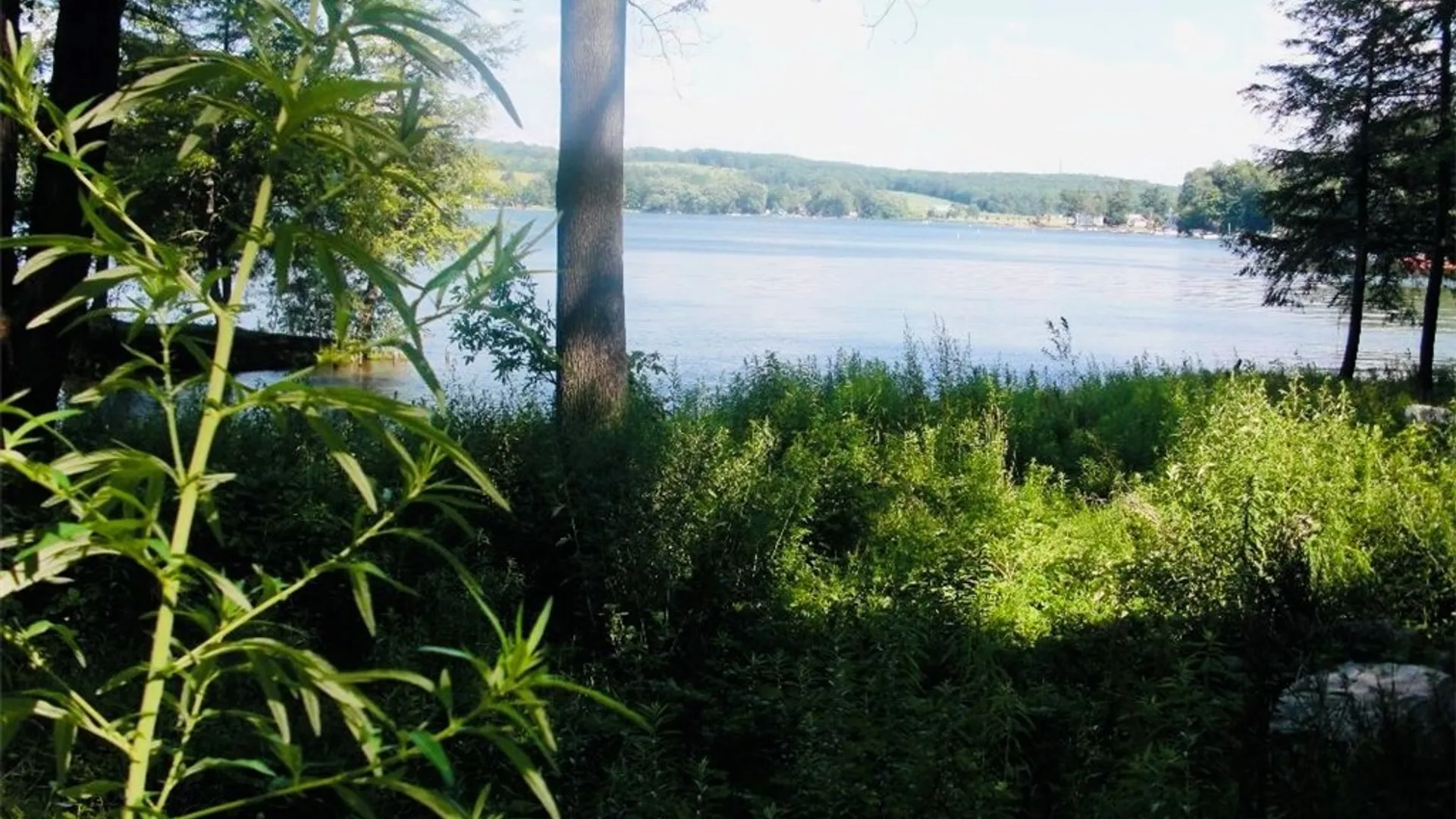 Property at 2404 Shadyside Road, Mina, NY 14736 5