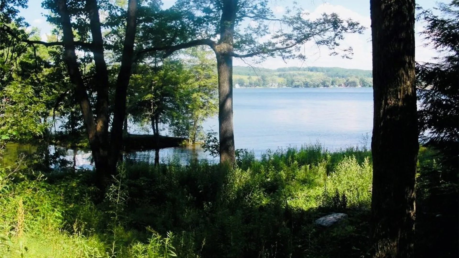 Property at 2404 Shadyside Road, Mina, NY 14736 6