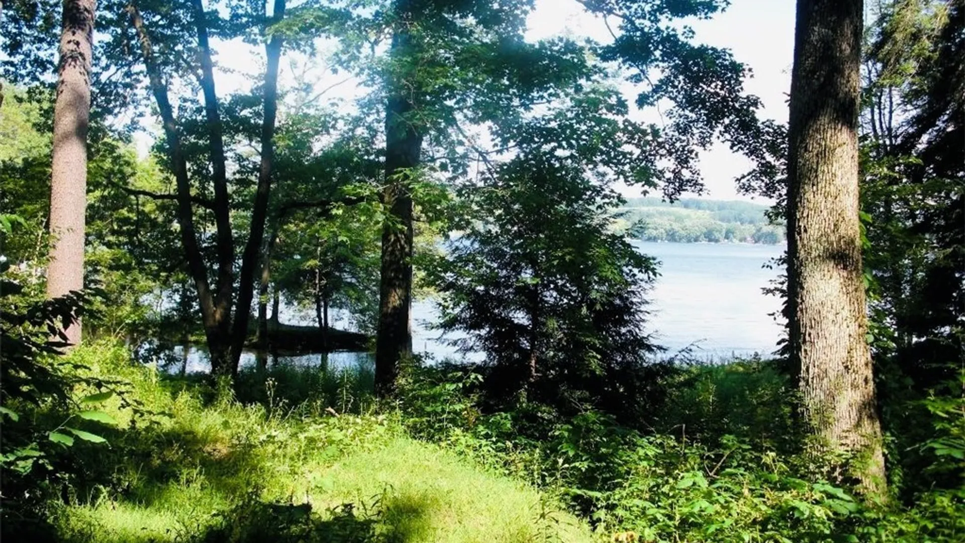 Property at 2404 Shadyside Road, Mina, NY 14736 7