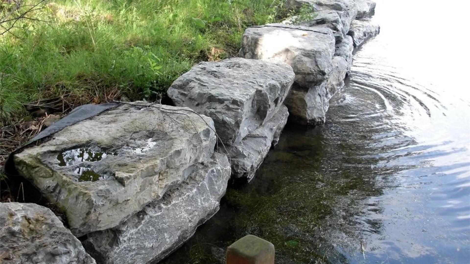 Property at 2404 Shadyside Road, Mina, NY 14736 8