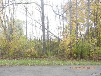 Property at 68 Grove Street, Evans, NY 14006