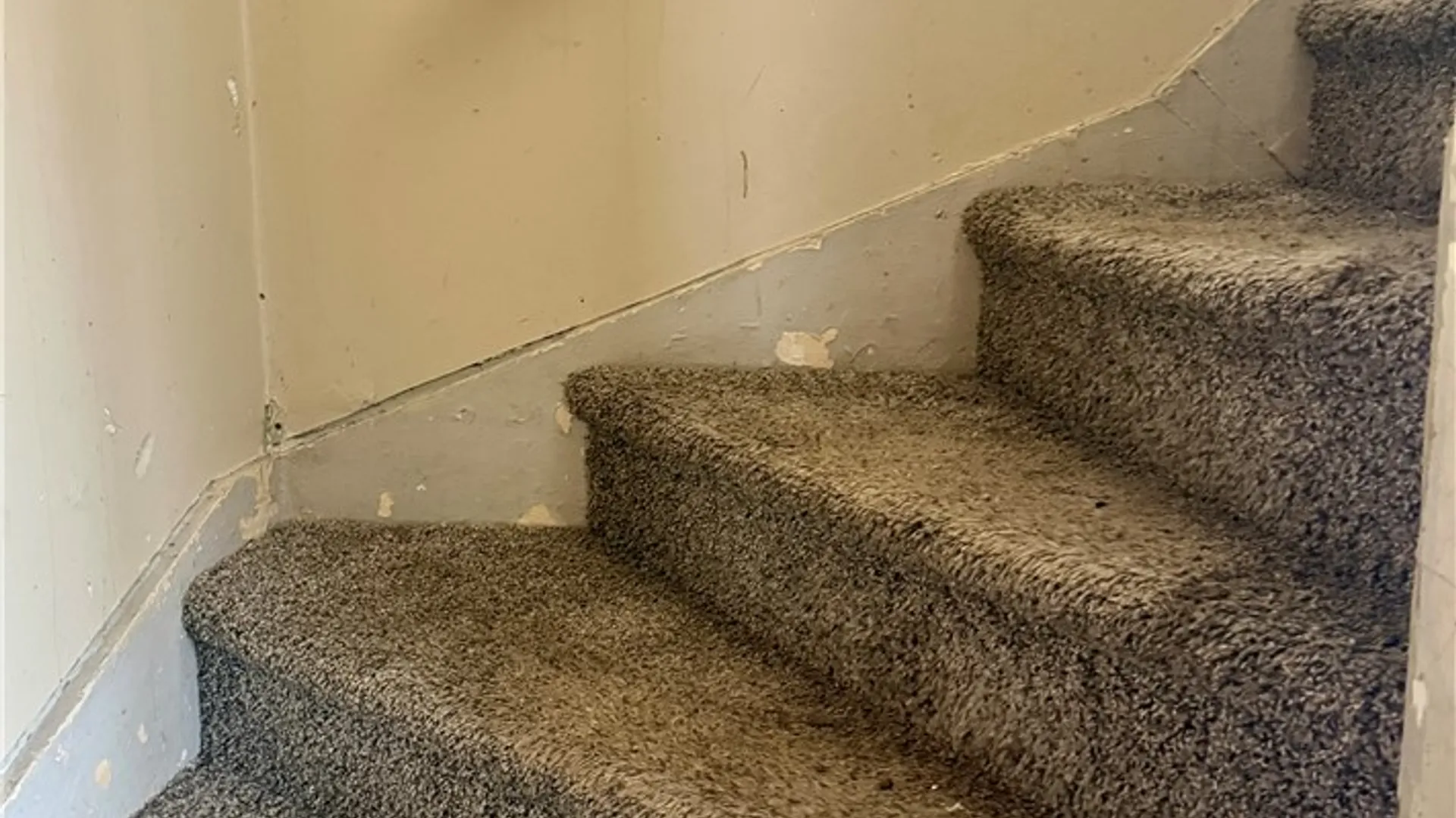 Property at 313 Cottage Street, Rome, NY 13440 10