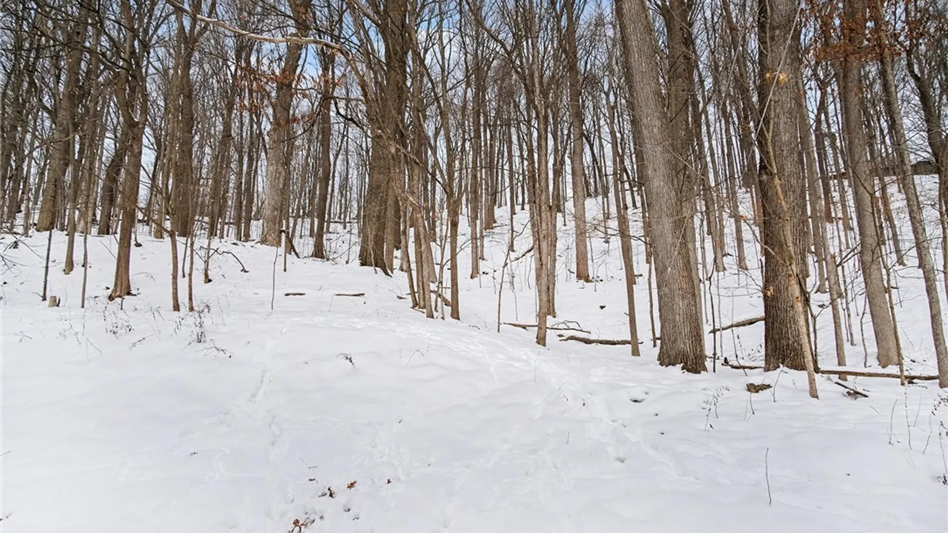 Property at 165 Brookside Lane, Manlius, NY 13066 31