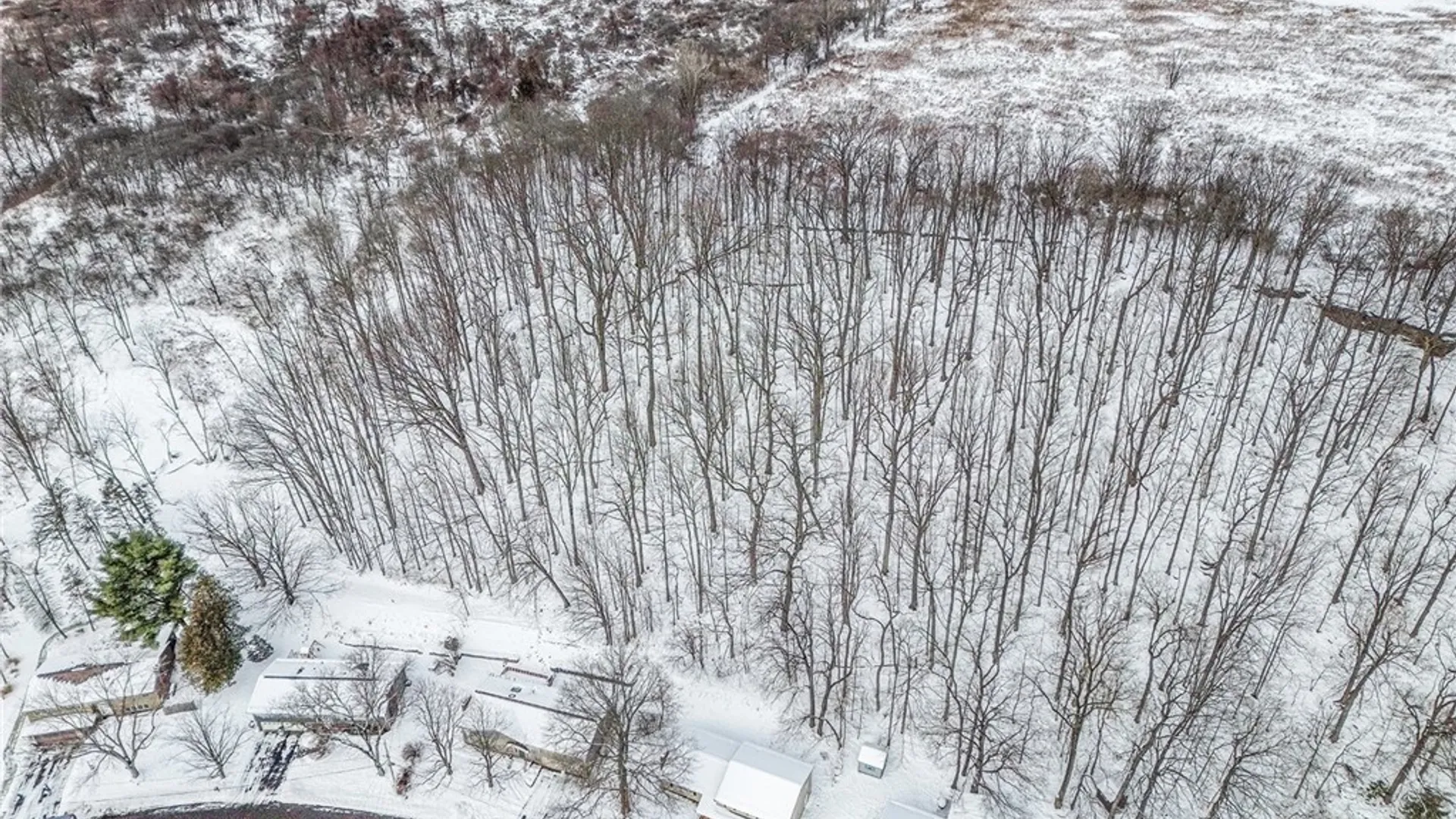 Property at 165 Brookside Lane, Manlius, NY 13066 36