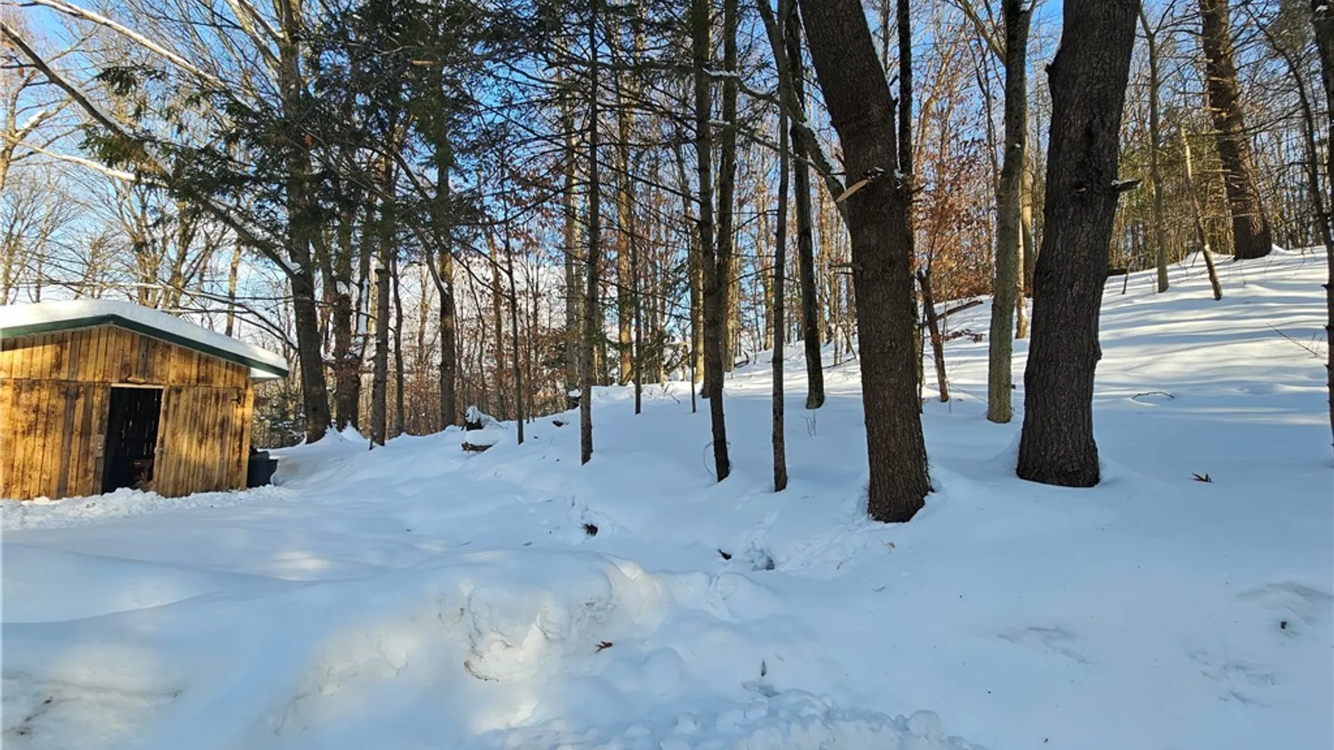 Property at 344 Brown Road, Frankfort, NY 13340 25