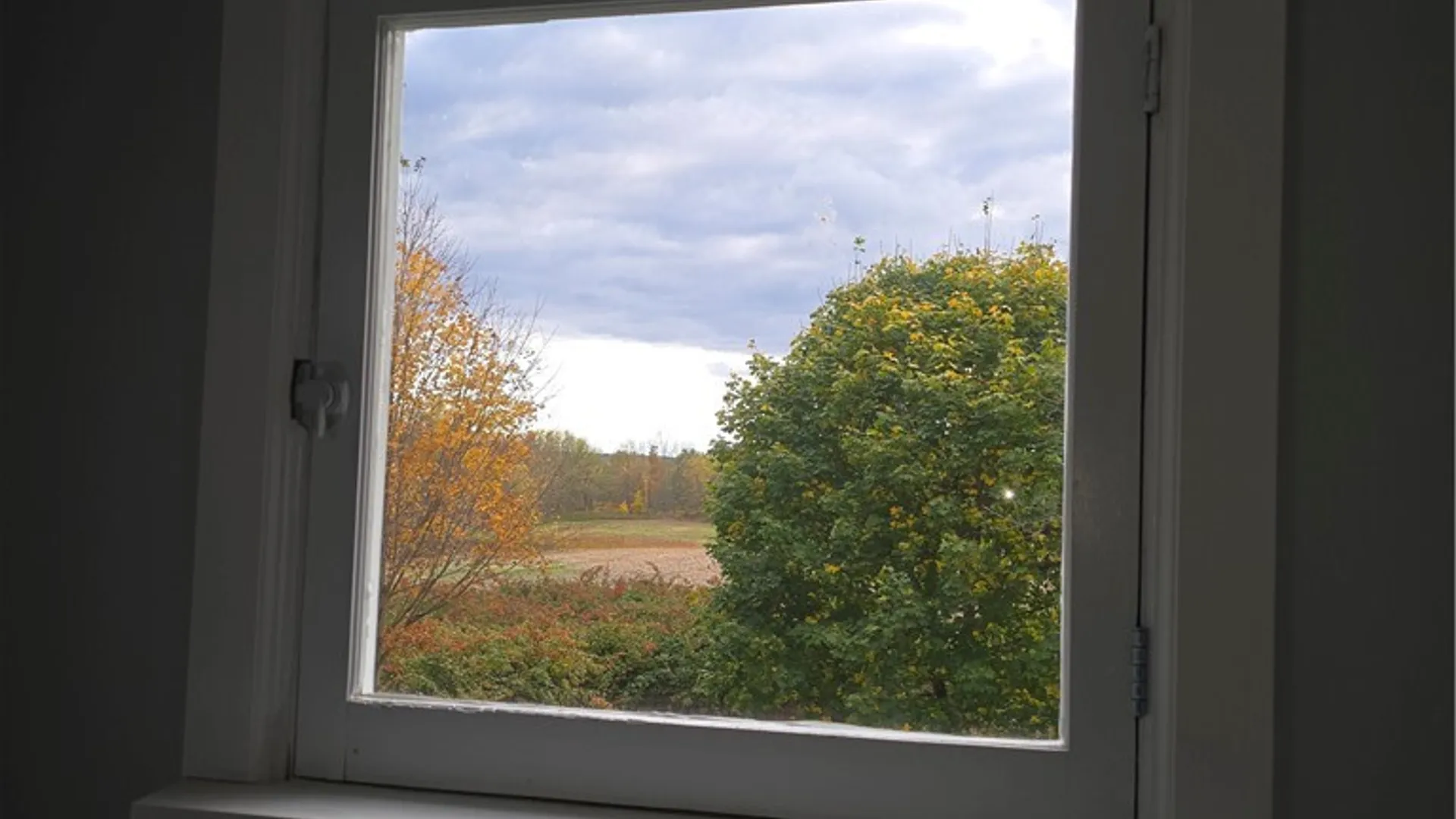 Property at 41 Maple Street, Afton, NY 13730 3