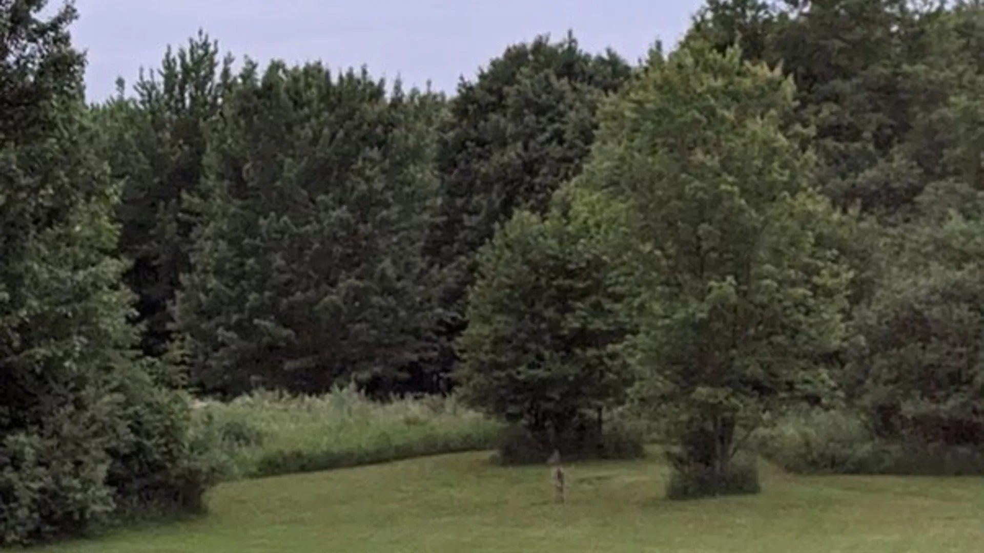 Property at 51 Pangborn Road, Hastings, NY 13036 41