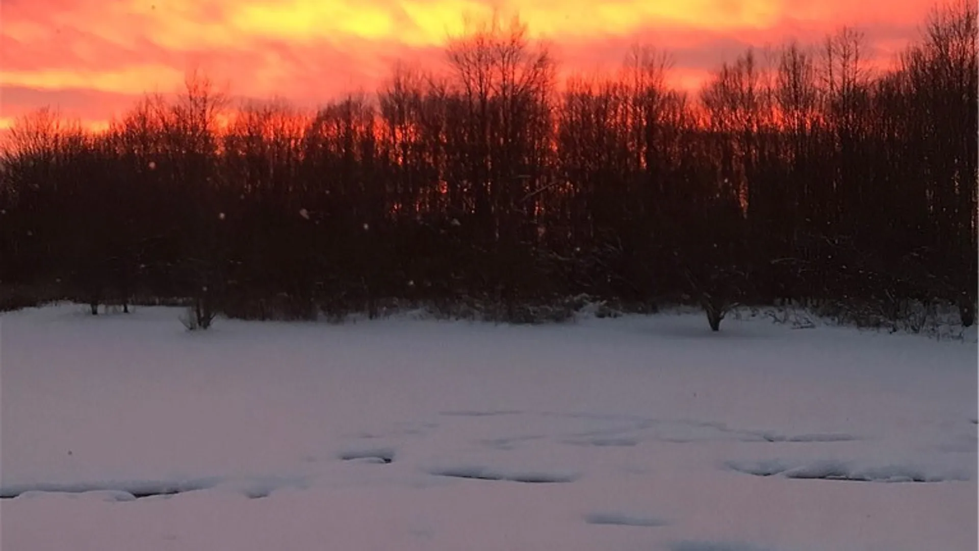 Property at 51 Pangborn Road, Hastings, NY 13036 42