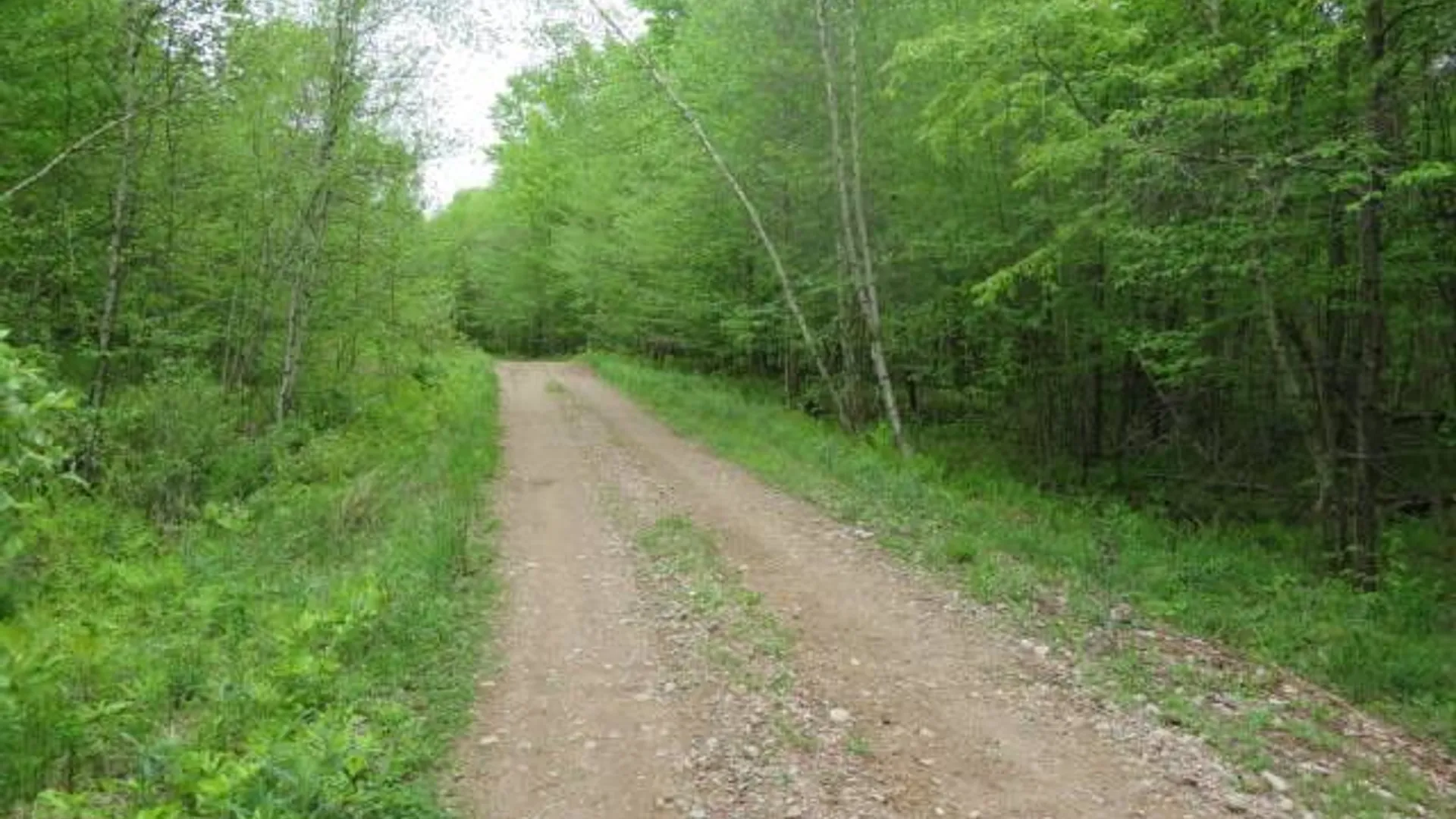 Property at 8401 Powerline Dr, Harrisville, NY 13648 14