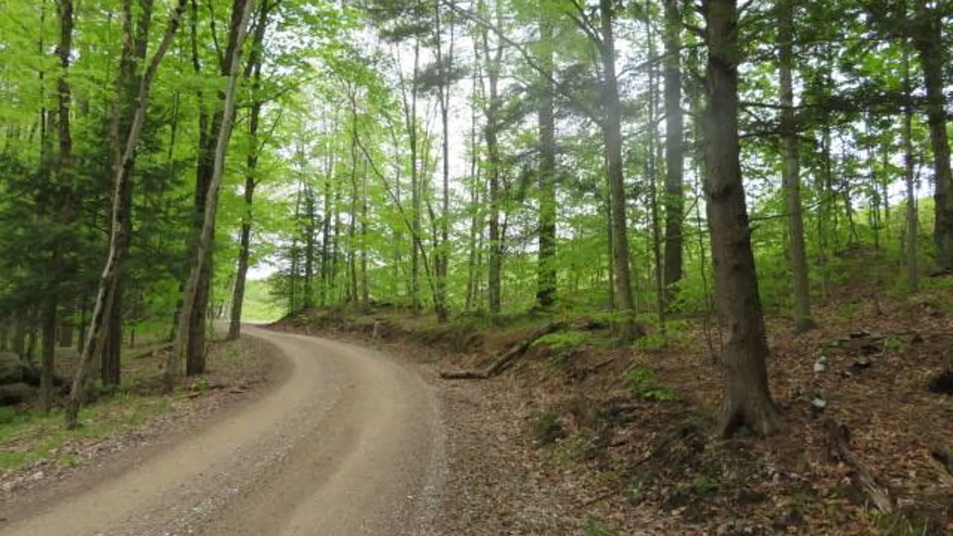 Property at 8401 Powerline Dr, Harrisville, NY 13648 16