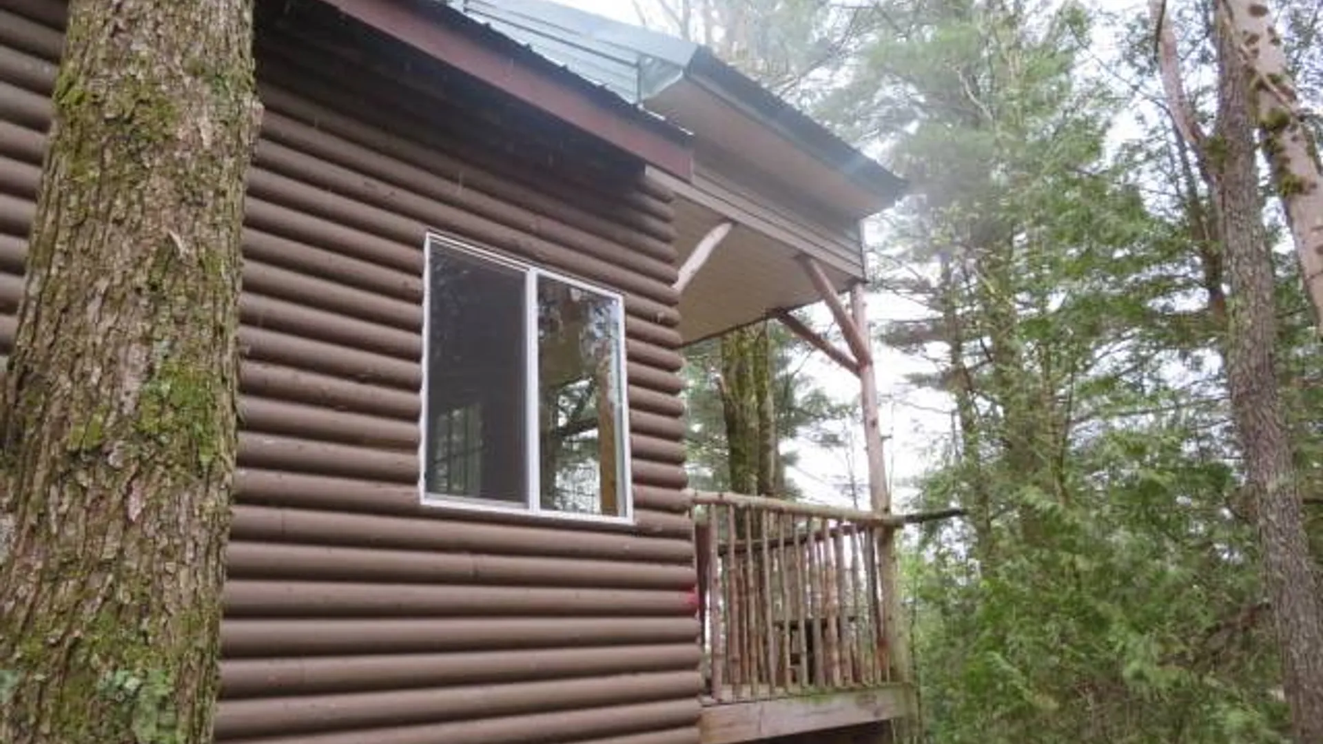 Property at 8401 Powerline Dr, Harrisville, NY 13648 3