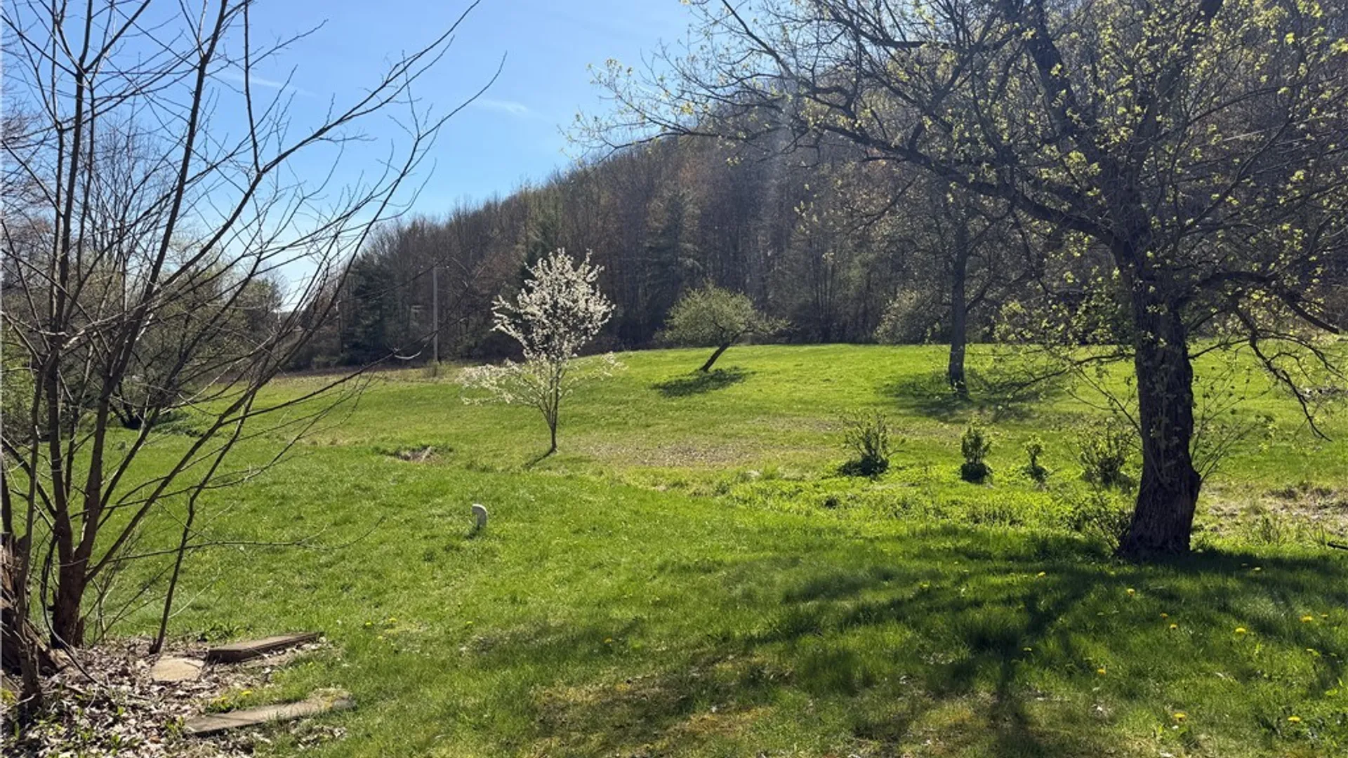 Property at 988 Windfall Road, Portville, NY 14760 32