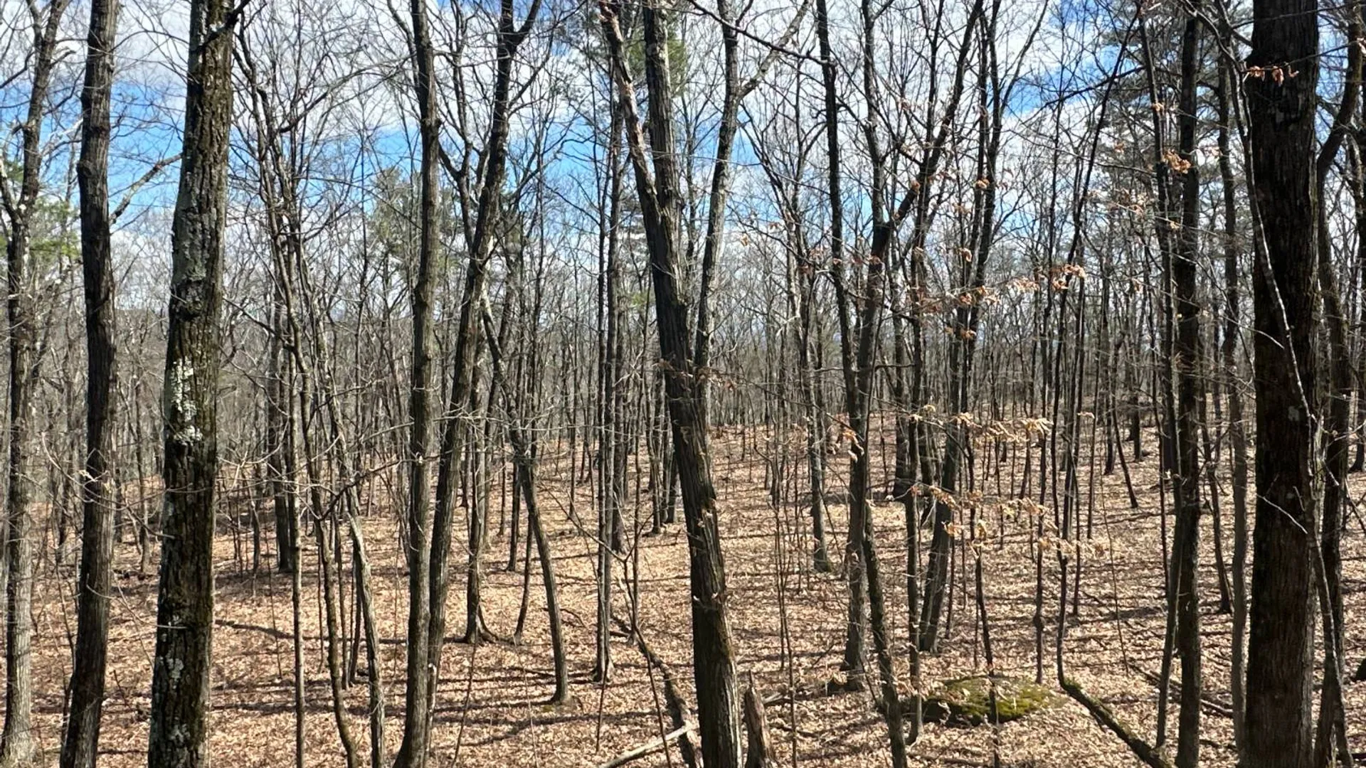 Property at 002WP Reservoir Rd, New Baltimore, NY 12192 4