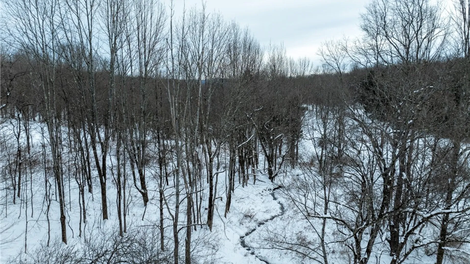 Property at Lot 36 Spurr Street, Columbus, NY 13411 10