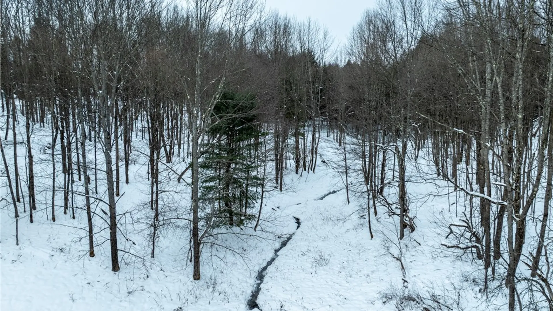 Property at Lot 36 Spurr Street, Columbus, NY 13411 9