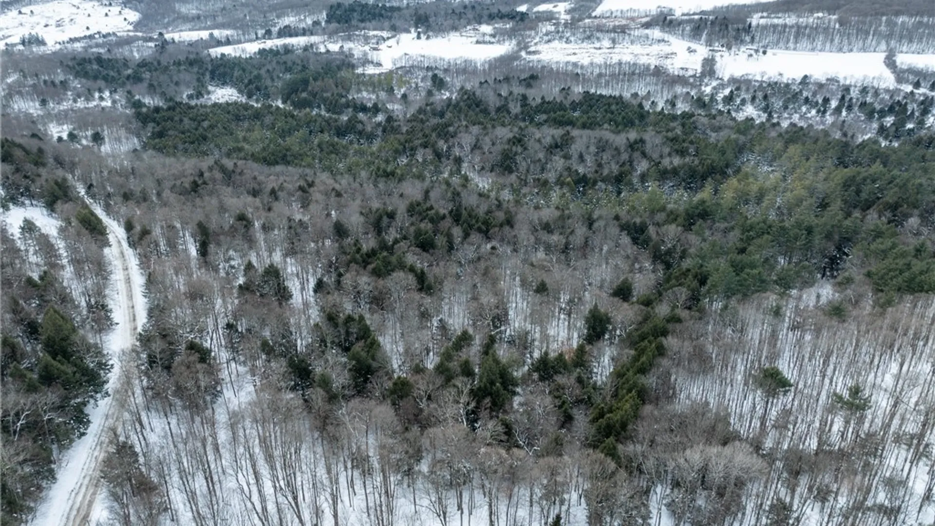 Property at 0 Hemlock Road, Columbus, NY 13411 10