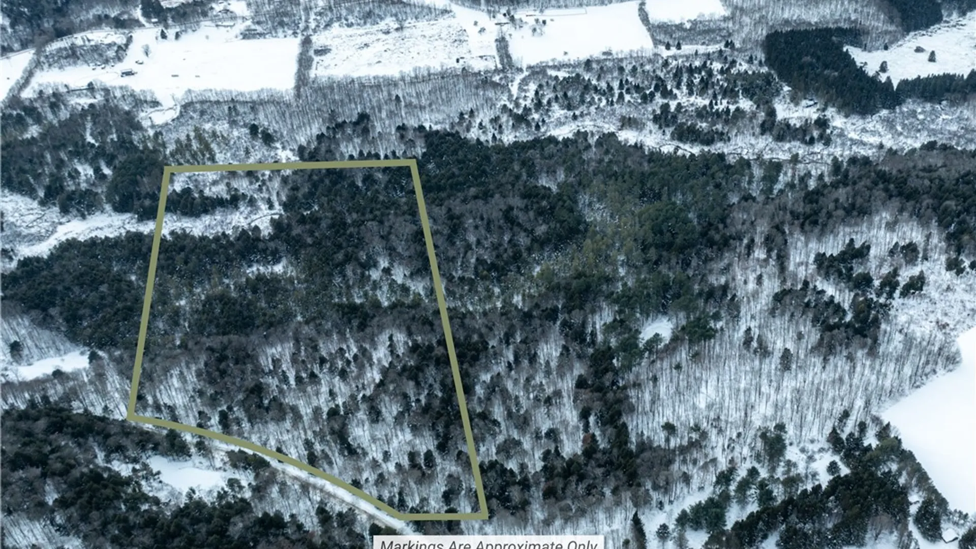 Property at 0 Hemlock Road, Columbus, NY 13411 11