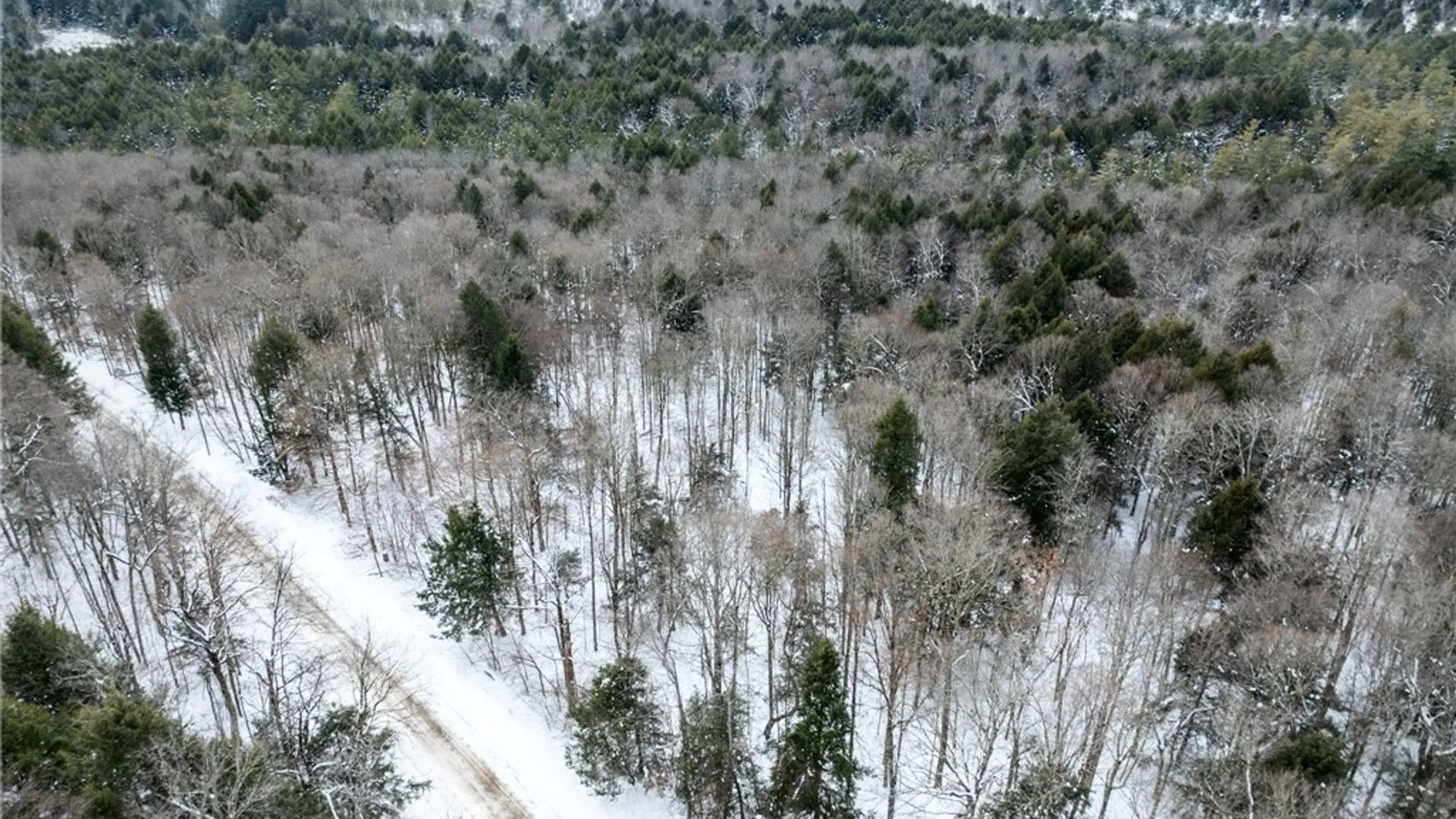 Property at 0 Hemlock Road, Columbus, NY 13411 3