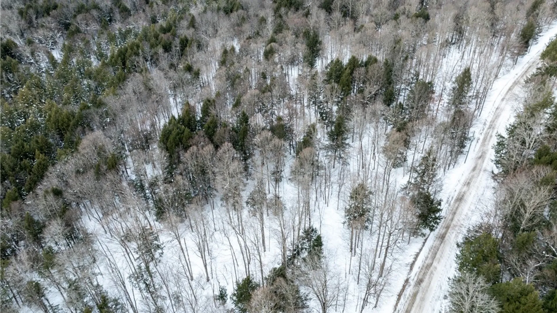 Property at 0 Hemlock Road, Columbus, NY 13411 4