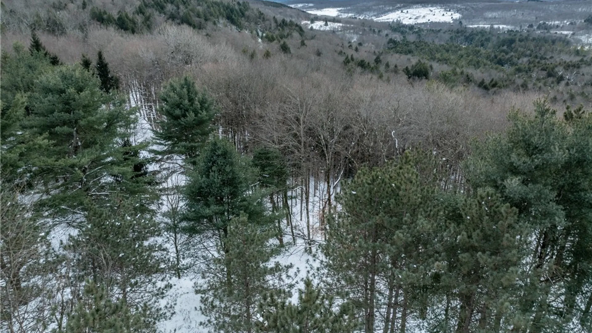 Property at 0 Hemlock Road, Columbus, NY 13411 6