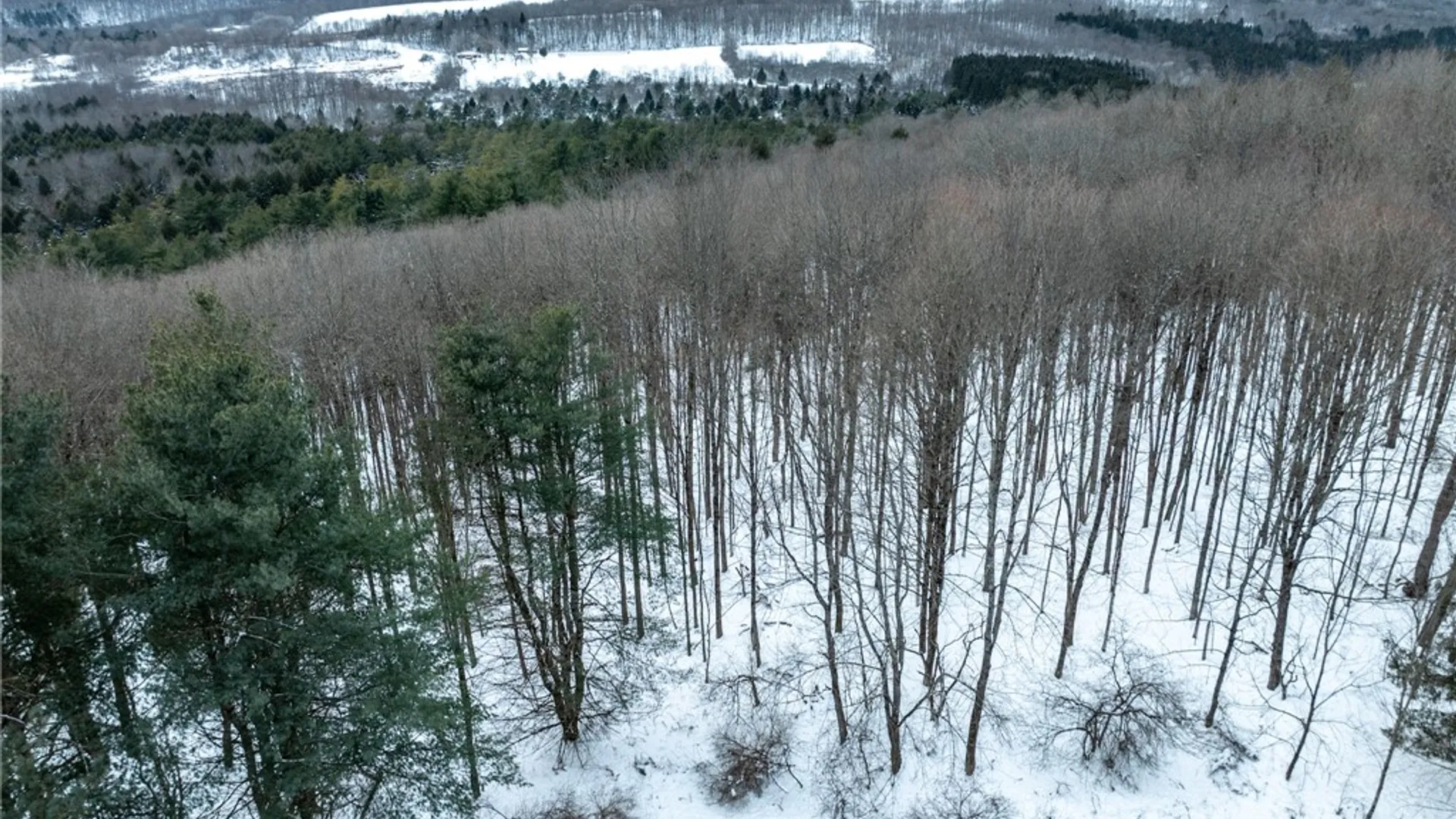 Property at 0 Hemlock Road, Columbus, NY 13411 7