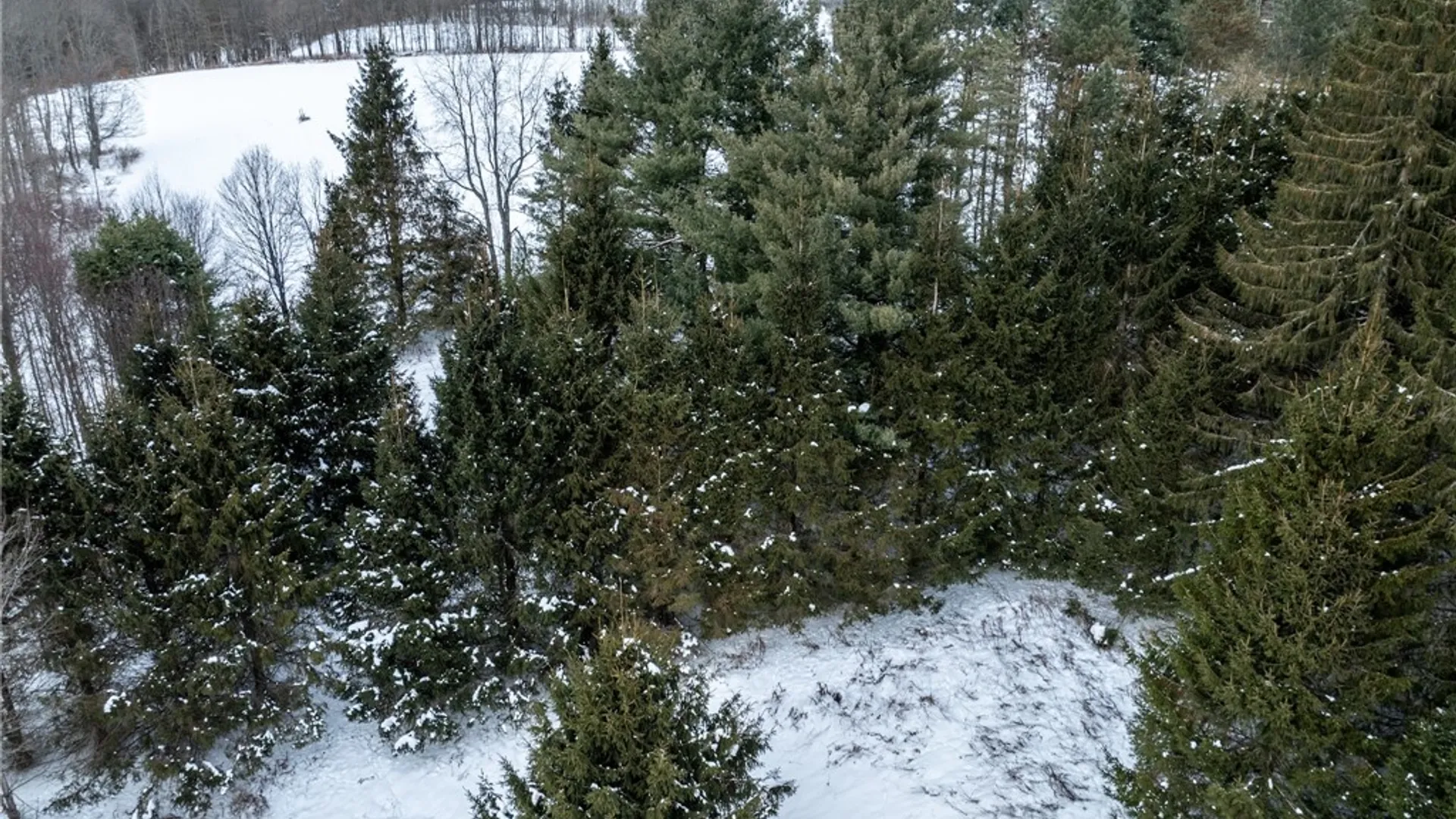 Property at 0 Hemlock Road, Columbus, NY 13411 8