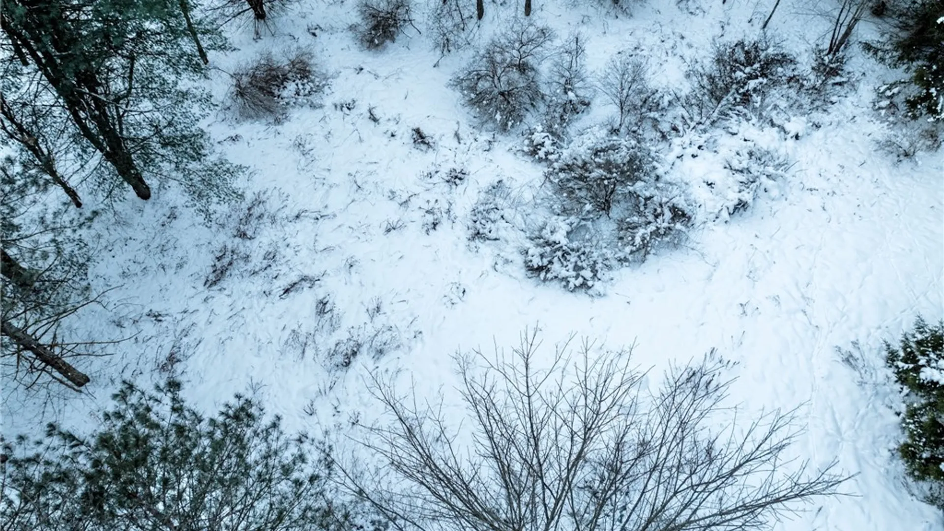 Property at 0 Hemlock Road, Columbus, NY 13411 9