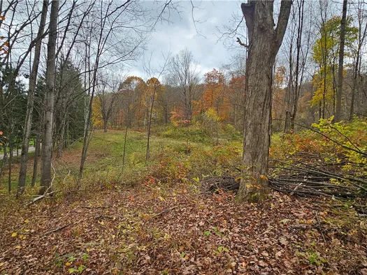 136 Dubois Lane, Oxford, NY 13830