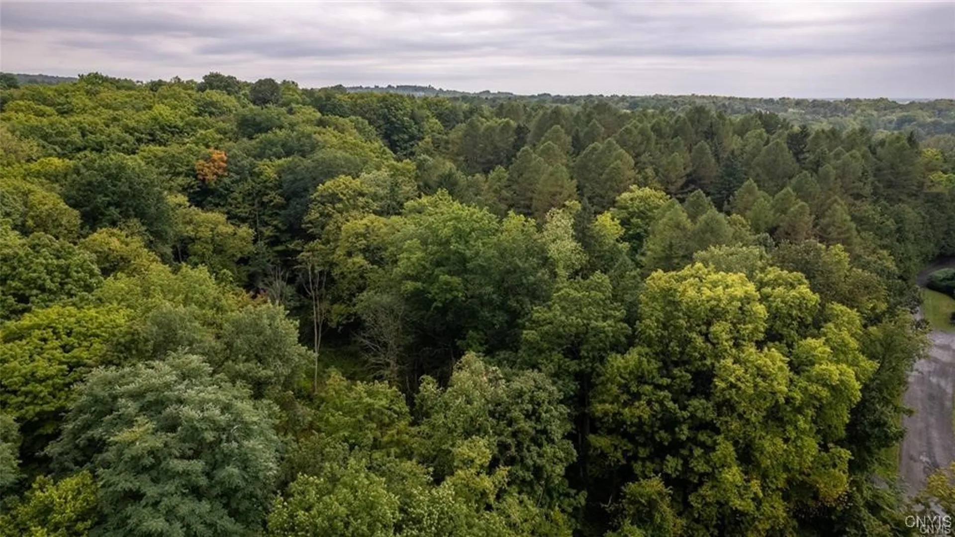 Property at 0 Apple Tree Ridge, Manlius, NY 13104 2