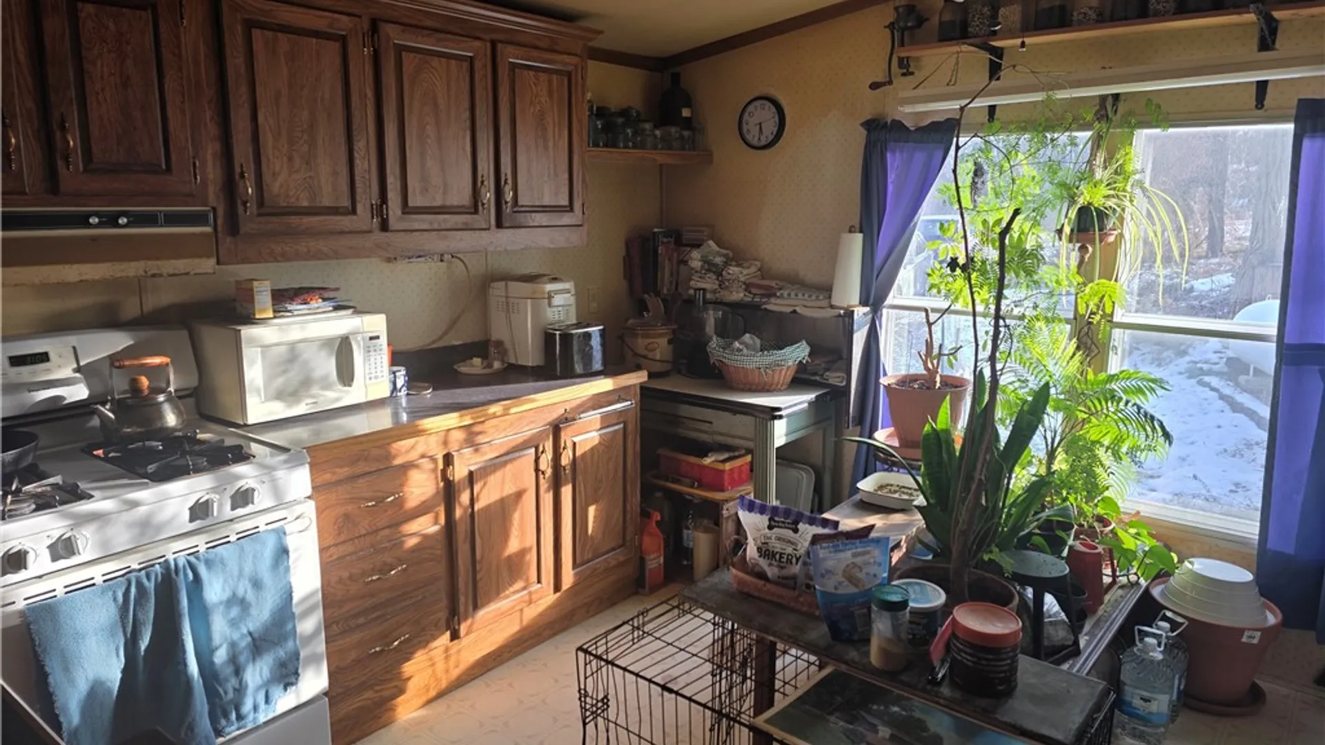 Property at 264 Glenora Road, Starkey, NY 14837 3