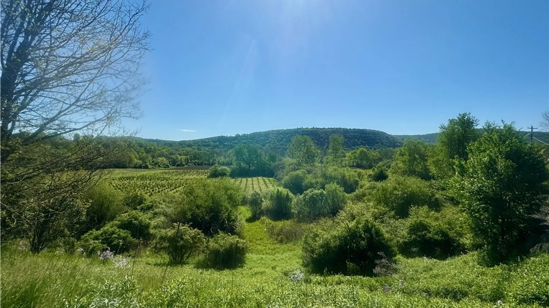 Property at 4938 State Highway 28, Hartwick, NY 13326 46
