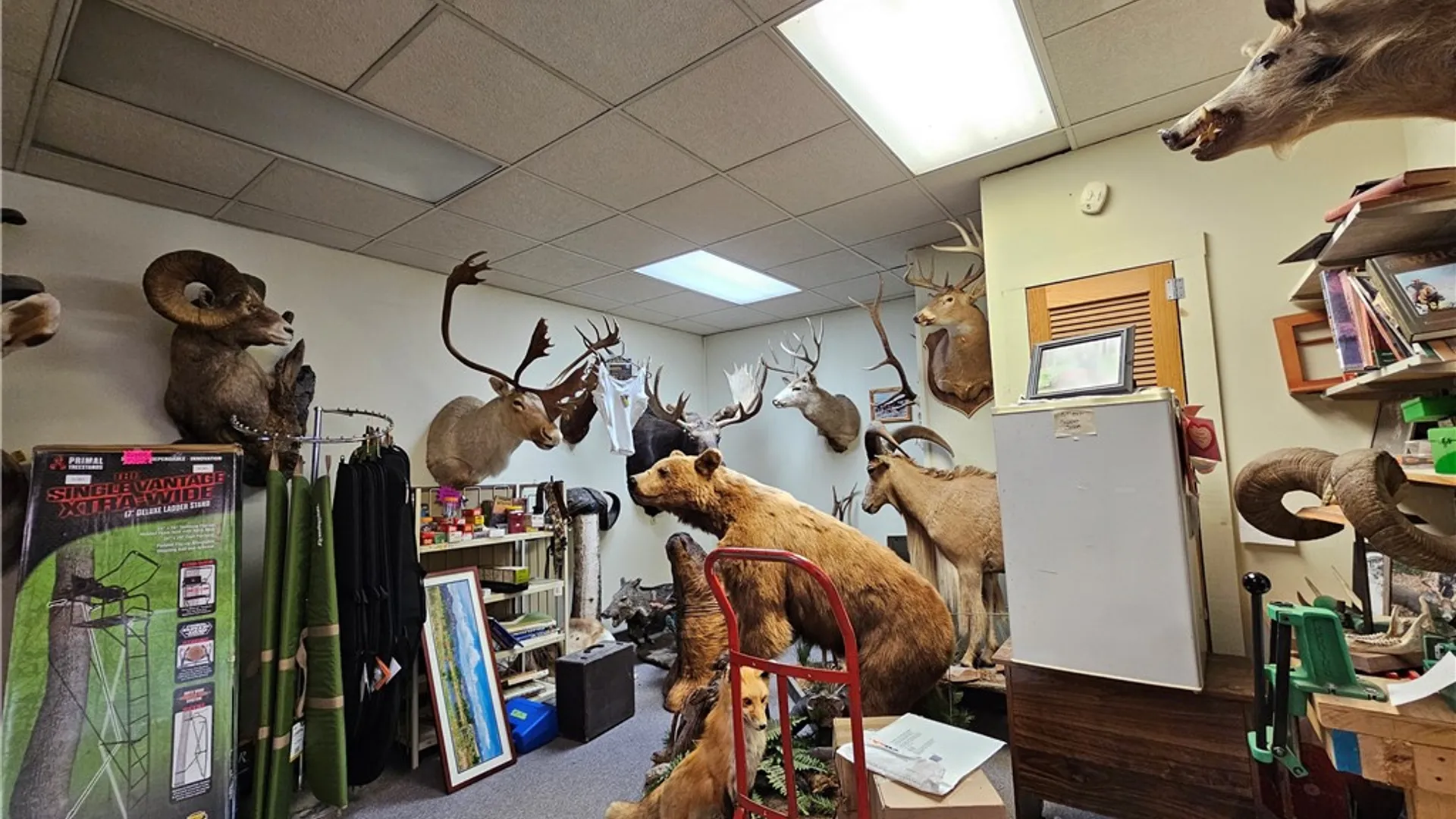 Property at 367 Morris Street, Bath, NY 14810 28