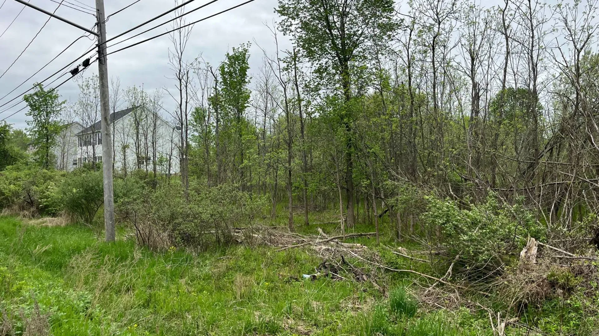 Property at 5680 Thompson Road, Clarence Center, NY 14032 2