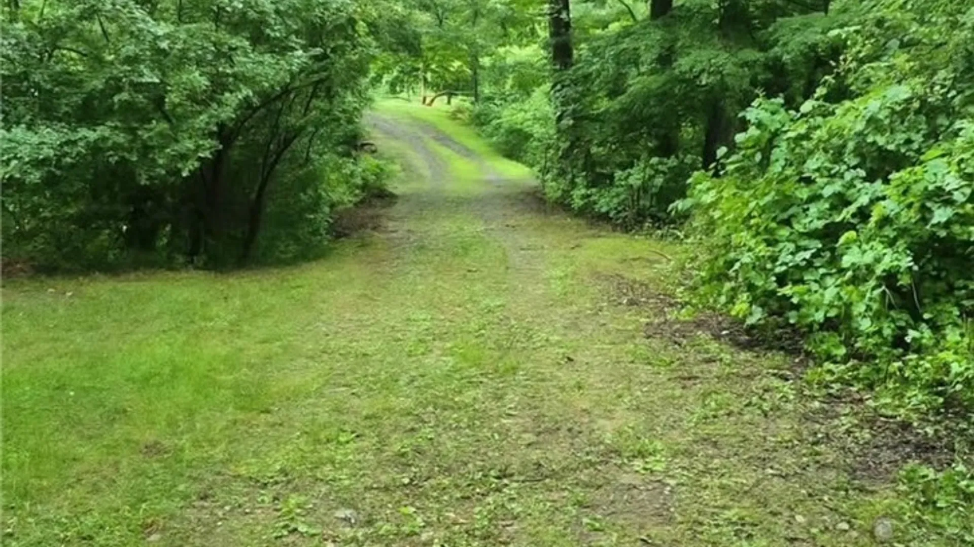 Property at 6379 Zoar Valley Road, Concord, NY 14141 3