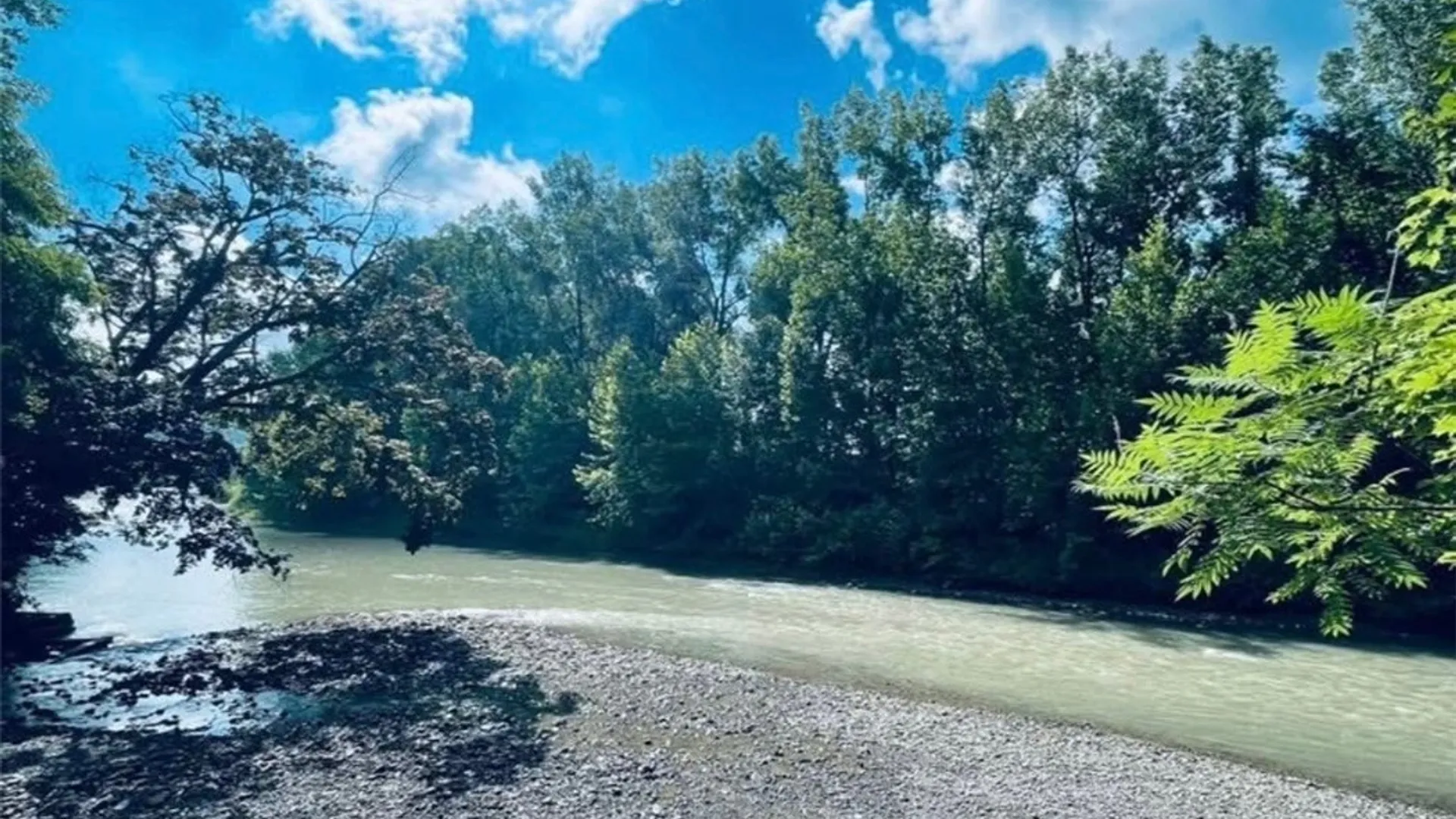 Property at 6379 Zoar Valley Road, Concord, NY 14141 5