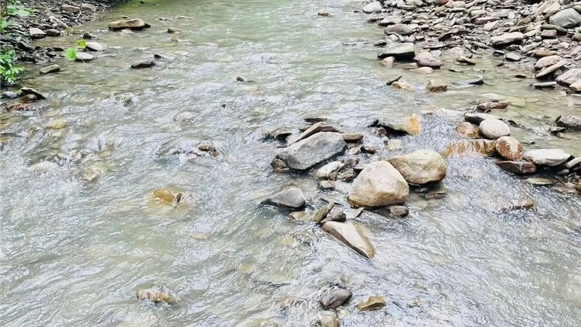 Property at 6379 Zoar Valley Road, Concord, NY 14141 7