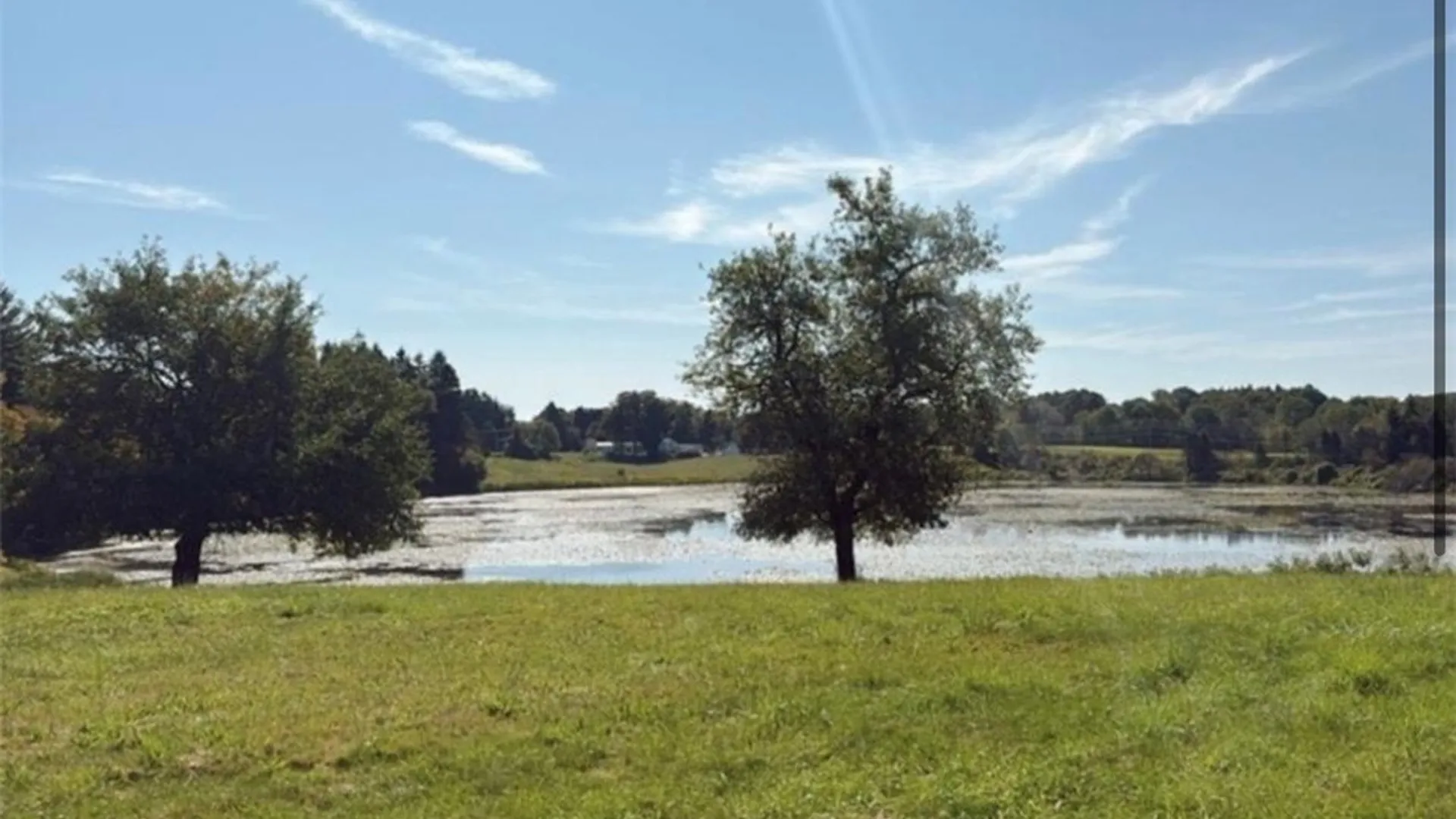 Property at 3585 Roszyk Hill Road, Machias, NY 14101 10