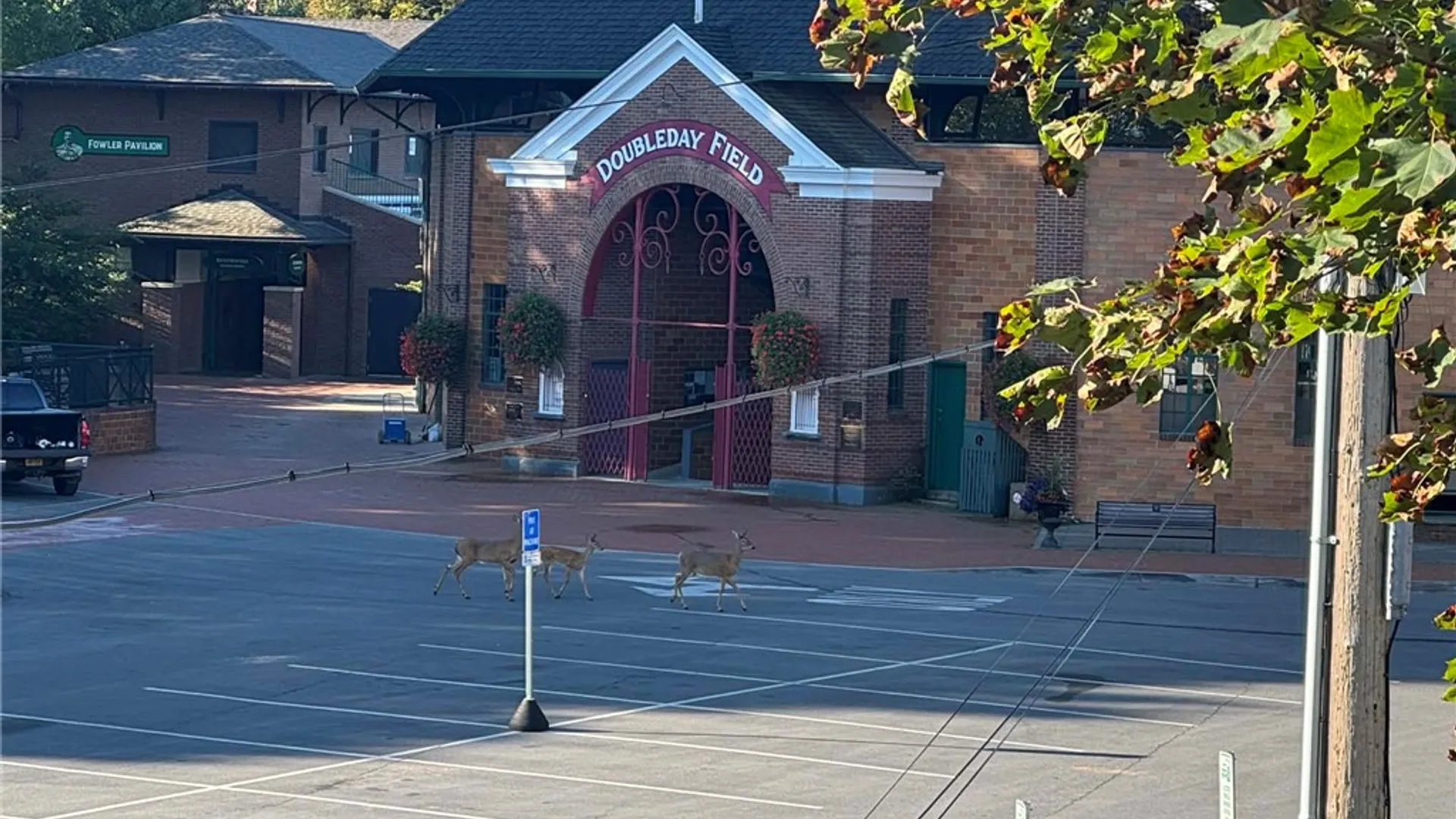 Property at 127 Main Street, Otsego, NY 13326 31