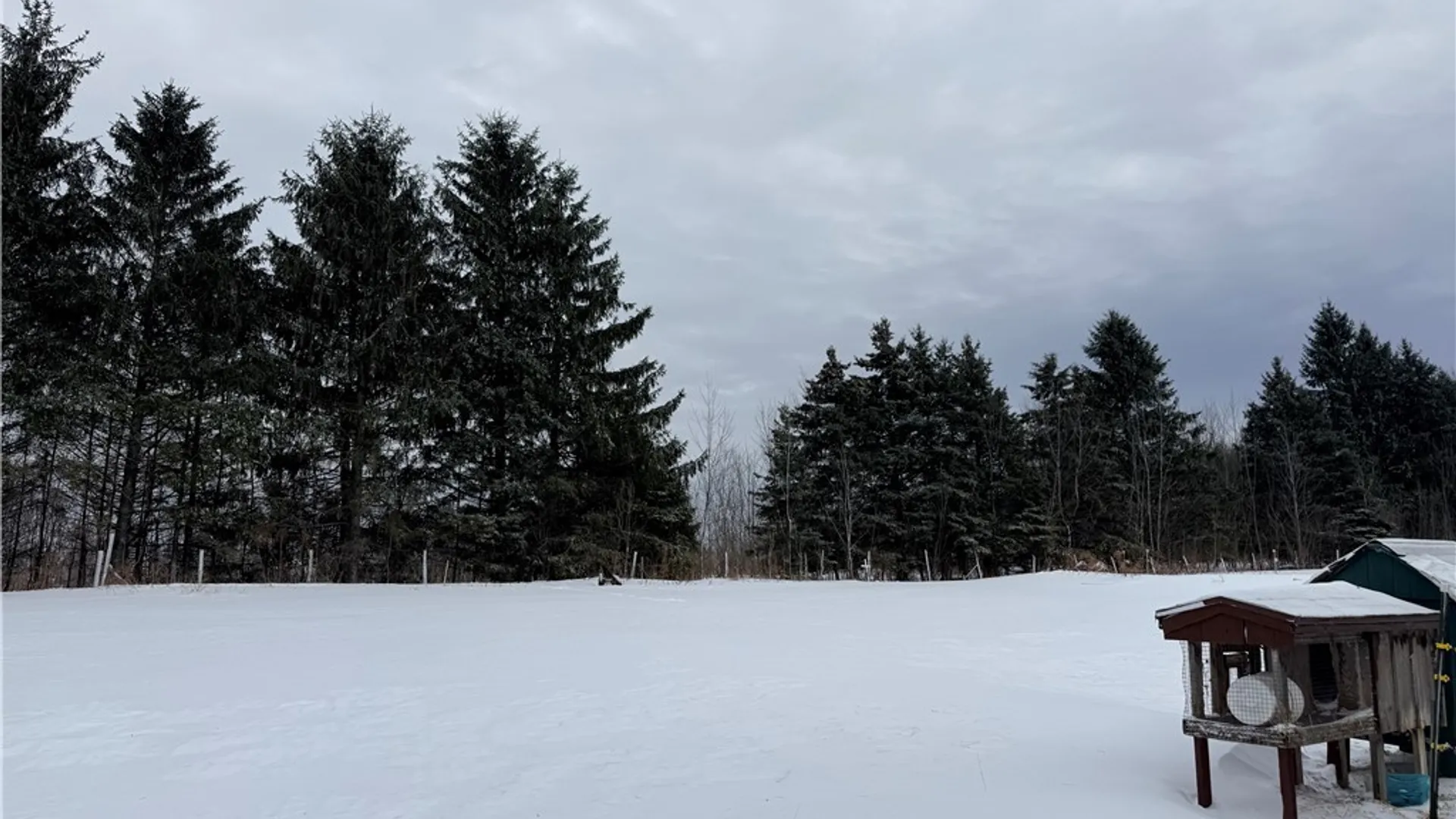Property at 8845 Liebler Hill Road, Little Valley, NY 14755 34