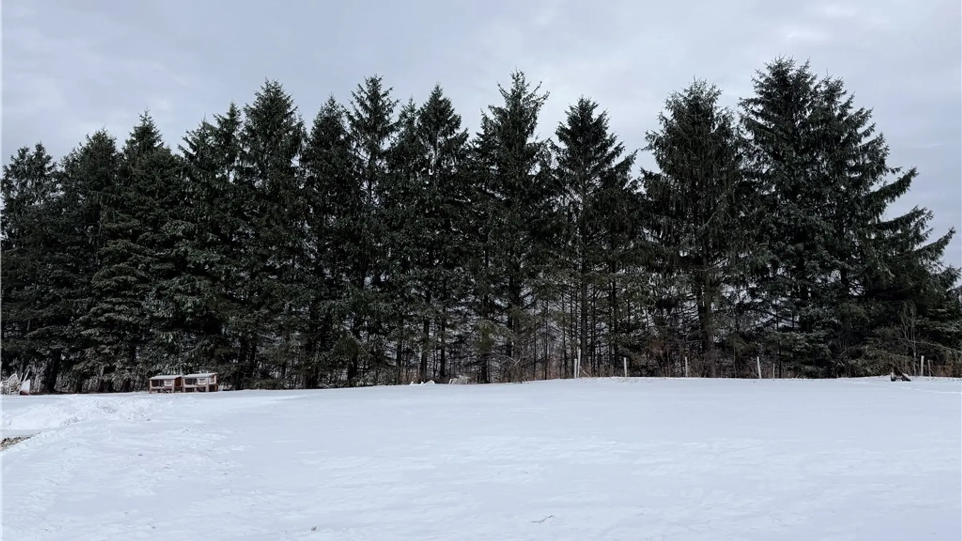 Property at 8845 Liebler Hill Road, Little Valley, NY 14755 35