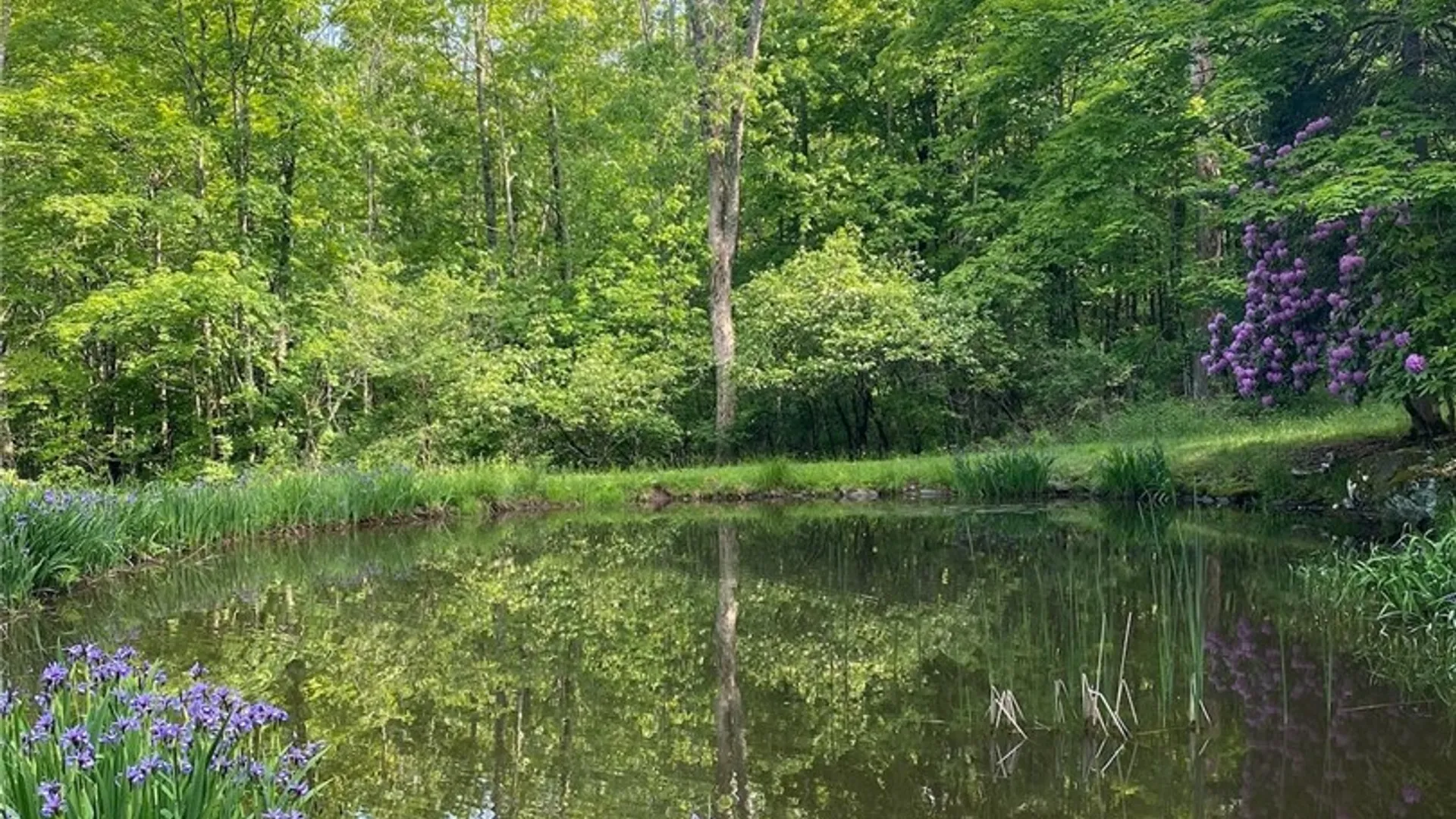 Property at 3 Maegers Road, Middletown, NY 12438 26