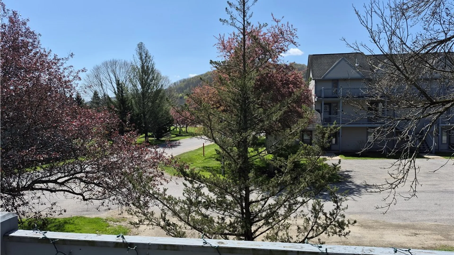 Property at 80 Wildflower, Ellicottville, NY 14731 3