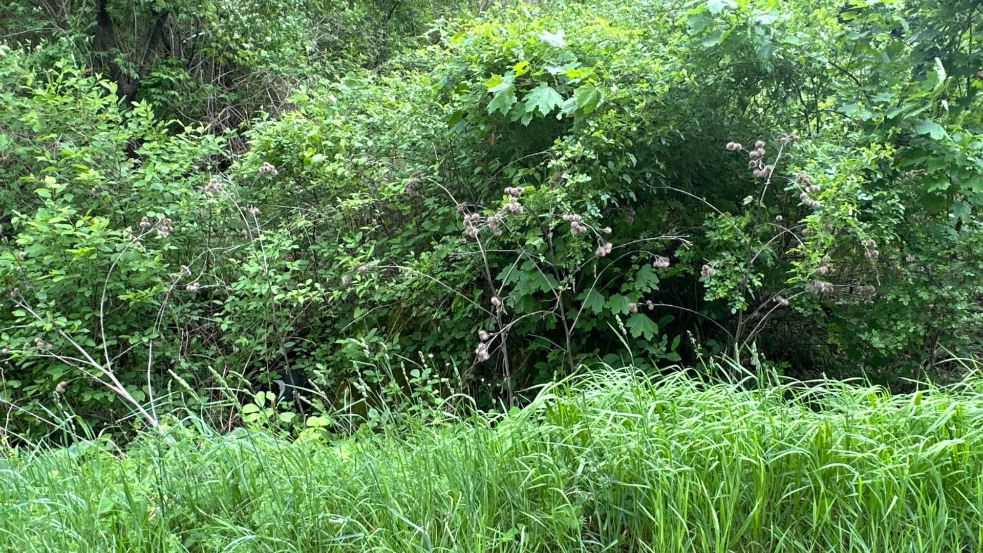 Property at 003WP Reservoir Rd, West Coxsackie, NY 12192 11