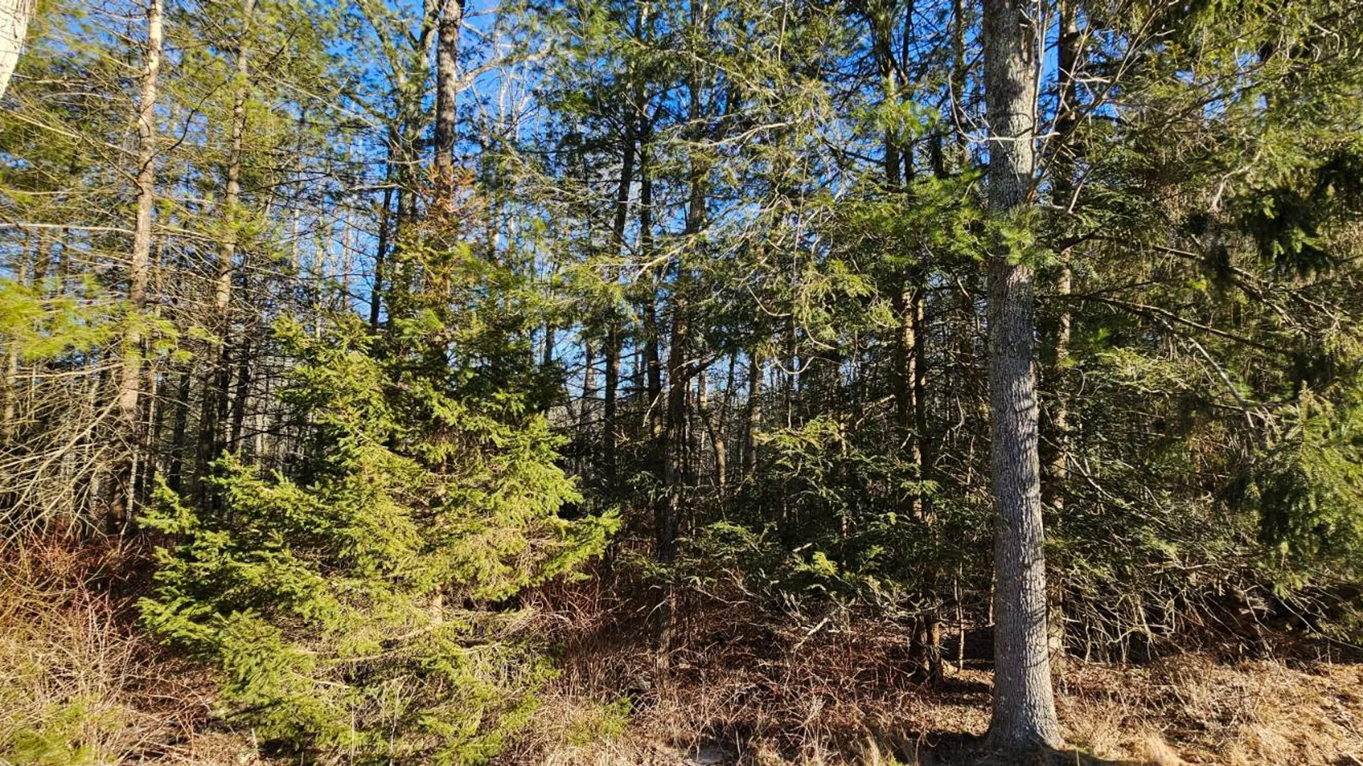 Property at Lot 57.1 Yulan-Barryville Rd, Highland, NY 12791 2